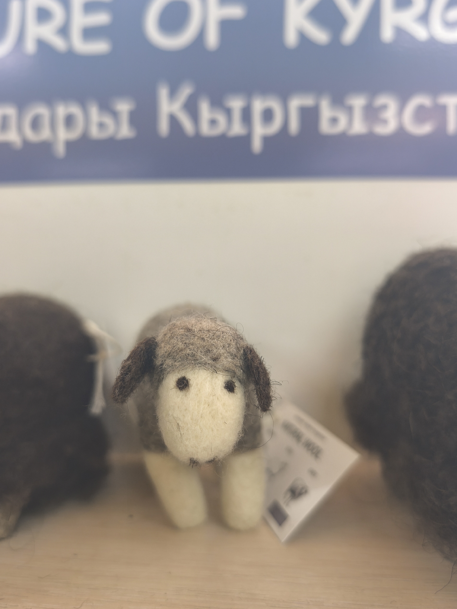 The image displays a close-up, shallow depth-of-field shot of a small, handcrafted felted sheep toy. The sheep, positioned centrally and in sharp focus, is predominantly off-white with light brown detailing on its head and ears, and small dark bead eyes. It rests on a light wooden surface.
On either side of the central sheep, out of focus, are parts of two other dark brown, fluffy textile items, likely similar felted or knitted creations. A small, white product tag is attached to the central sheep, and although blurry, the word "WOOL" can be faintly discerned on it, indicating the material.
In the blurred background, a blue sign with white text is visible. The top line of English text appears to read "URE OF KYRGI," strongly suggesting "CULTURE OF KYRGYZSTAN." Below this, a line of blurred Cyrillic text can be partially deciphered as "дары Кыргызст," likely translating to "gifts/medicines of Kyrgyzstan" or part of a larger phrase referencing Kyrgyzstan.
The scene appears to be an indoor display of local handicrafts, specifically wool products, from the Кашат region of Kyrgyzstan. The lighting is soft, and the overall impression is one of artisan work and cultural representation.