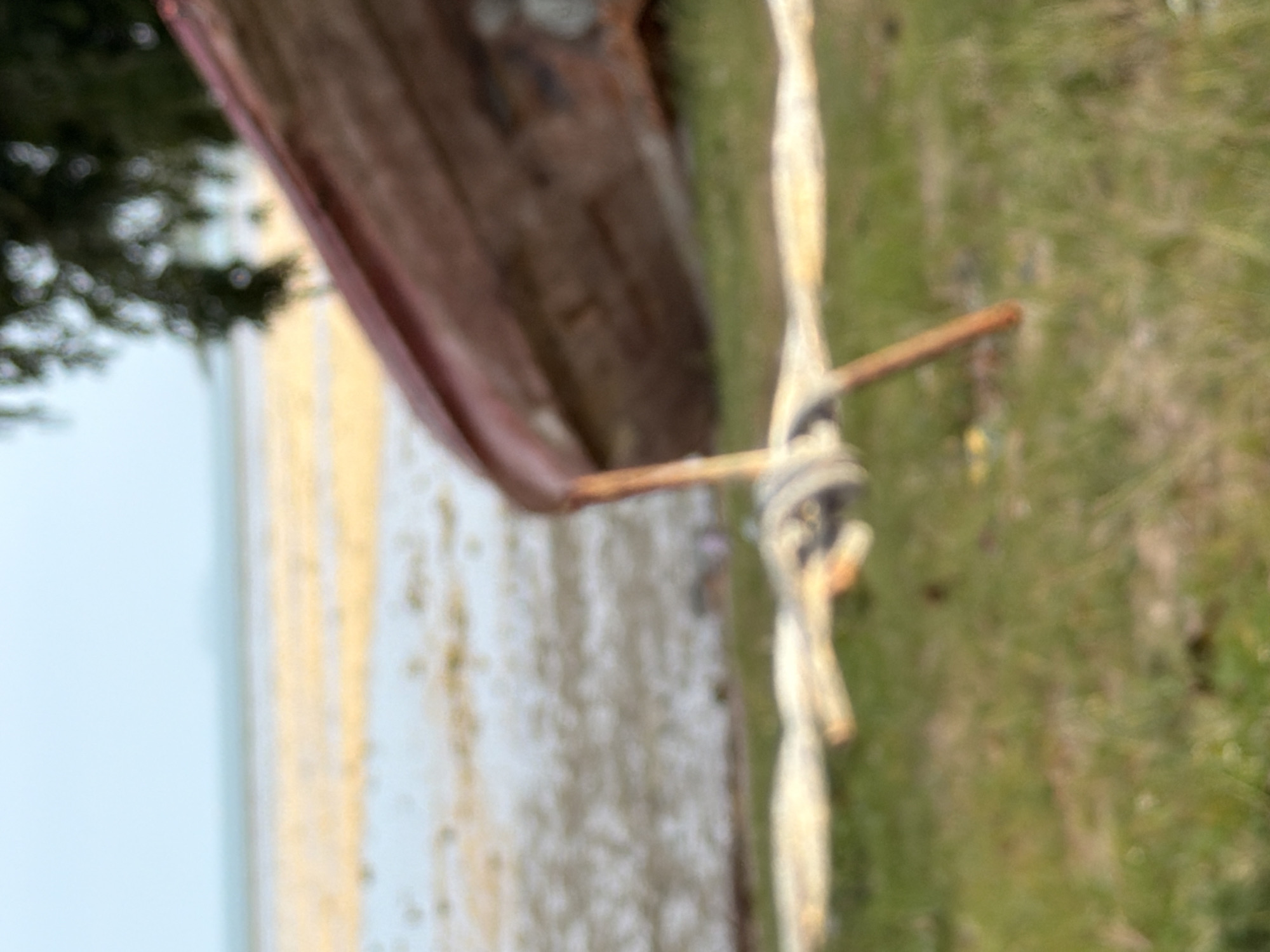 The image depicts a close-up of barbed wire with a blurred background of a beach and trees. A portion of a weathered wooden boat is visible in the upper right portion of the frame, resting on its side. The beach appears to have shallow water or wet sand, with a muted yellow hue, suggesting it is low tide. The sky is a pale blue, and a distant landmass or island is faintly visible on the horizon. The foreground consists of green grass with a few small, out-of-focus yellow flowers. The scene is captured in natural light, with a soft focus that lends a dreamy quality to the image. The overall impression is one of a tranquil, possibly abandoned, coastal setting in Ko Samui District, Thailand, characterized by the interplay of man-made objects like the barbed wire and boat with the natural elements of the sea, sand, and vegetation.