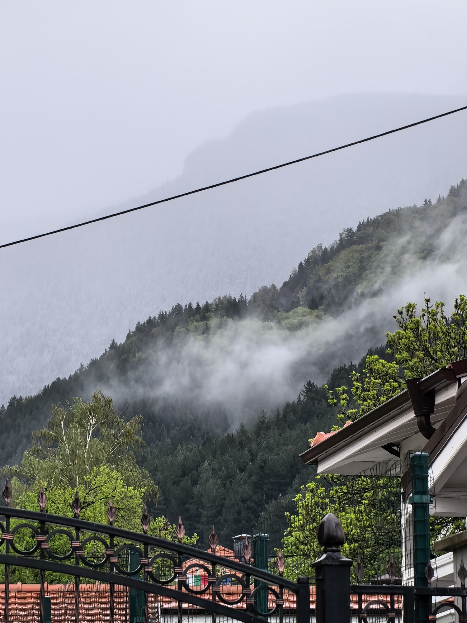 The image captures a misty, forested mountain landscape in Sapareva Banya, Bulgaria, viewed from behind a decorative metal fence.
In the foreground, a prominent black metal fence with intricate circular patterns and dark bronze/copper spear-like finials arches across the lower part of the frame. Behind the fence, parts of two building roofs with terracotta tiles and white eaves are visible. To the right, a white soffit with a brown gutter and downspout is clearly seen, while to the left, more red tiled roofs appear lower down. Lush green foliage, including bright spring leaves and a distinct birch tree with light bark, fills the space between the fence and the misty mountainside.
The midground is dominated by a dense forest covering the mountain slopes. Coniferous trees form the majority of the forest, interspersed with some deciduous trees with lighter green leaves. Swathes of thick, white fog or low-hanging clouds drift through the forest, partially obscuring the trees and creating a layered, ethereal effect.
In the background, higher mountain peaks are visible, softened and muted by the pervasive mist and clouds, blending into the overcast sky. A single dark power line or cable stretches horizontally across the upper third of the image, cutting through the sky and mountain view.
The scene depicts a cloudy, possibly damp, daytime setting. The heavy fog and lush greenery suggest a cool or humid atmosphere, characteristic of mountainous regions with frequent cloud cover. There is no visible text in the image.