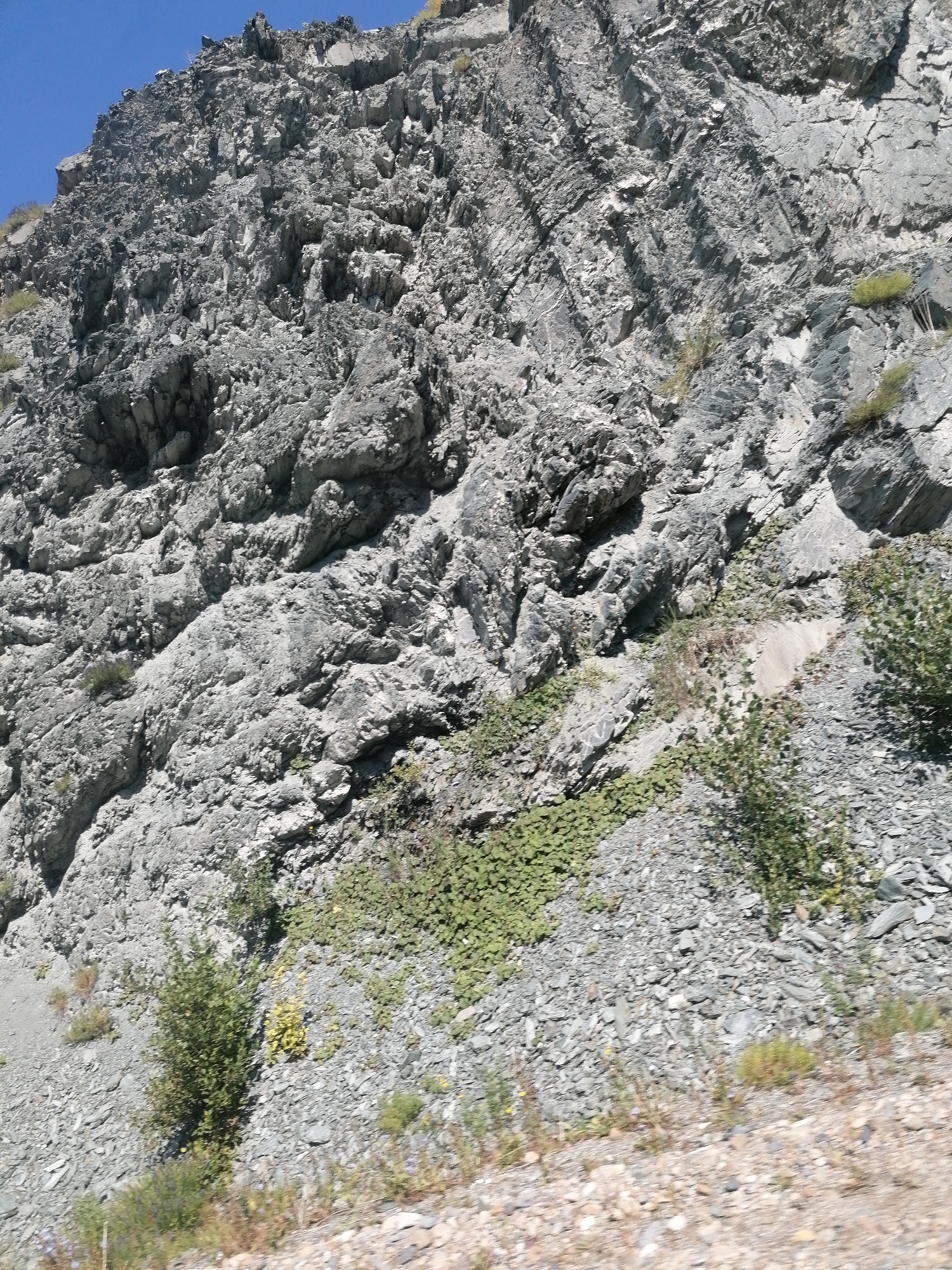 The image displays a close-up view of a rocky, mountainous terrain under a clear blue sky. The rocks are predominantly grey, with visible layers and fractures, suggesting a geological formation. Sparse vegetation, including small green plants and bushes, is scattered across the rock face and at its base. The foreground is a mix of gravel and dry earth with some low-lying vegetation. The scene appears to be a natural landscape, devoid of any man-made structures or human presence. Based on the provided context, this location is identified as being within the Тарханка ауылдық округі, Kazakhstan.