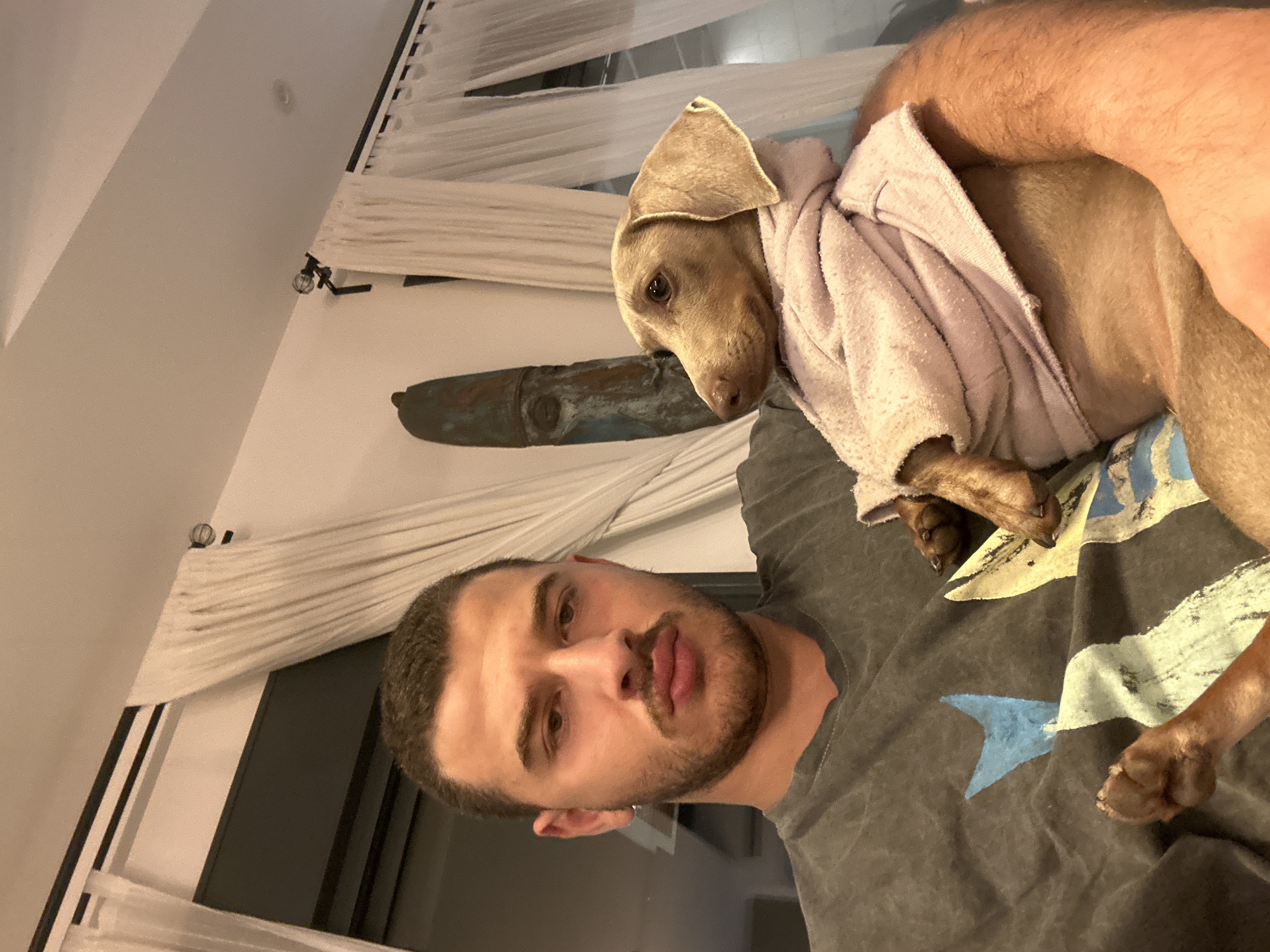 A man with a trimmed beard poses with a light brown dog wearing a pinkish-purple towel. The dog rests on the man's chest, its paws visible against a grey t-shirt with a blue and white design. A decorative metallic piece hangs on the wall behind them, near sheer white curtains and a window with a dark frame. The photo appears to be taken indoors, with a casual, intimate feel.