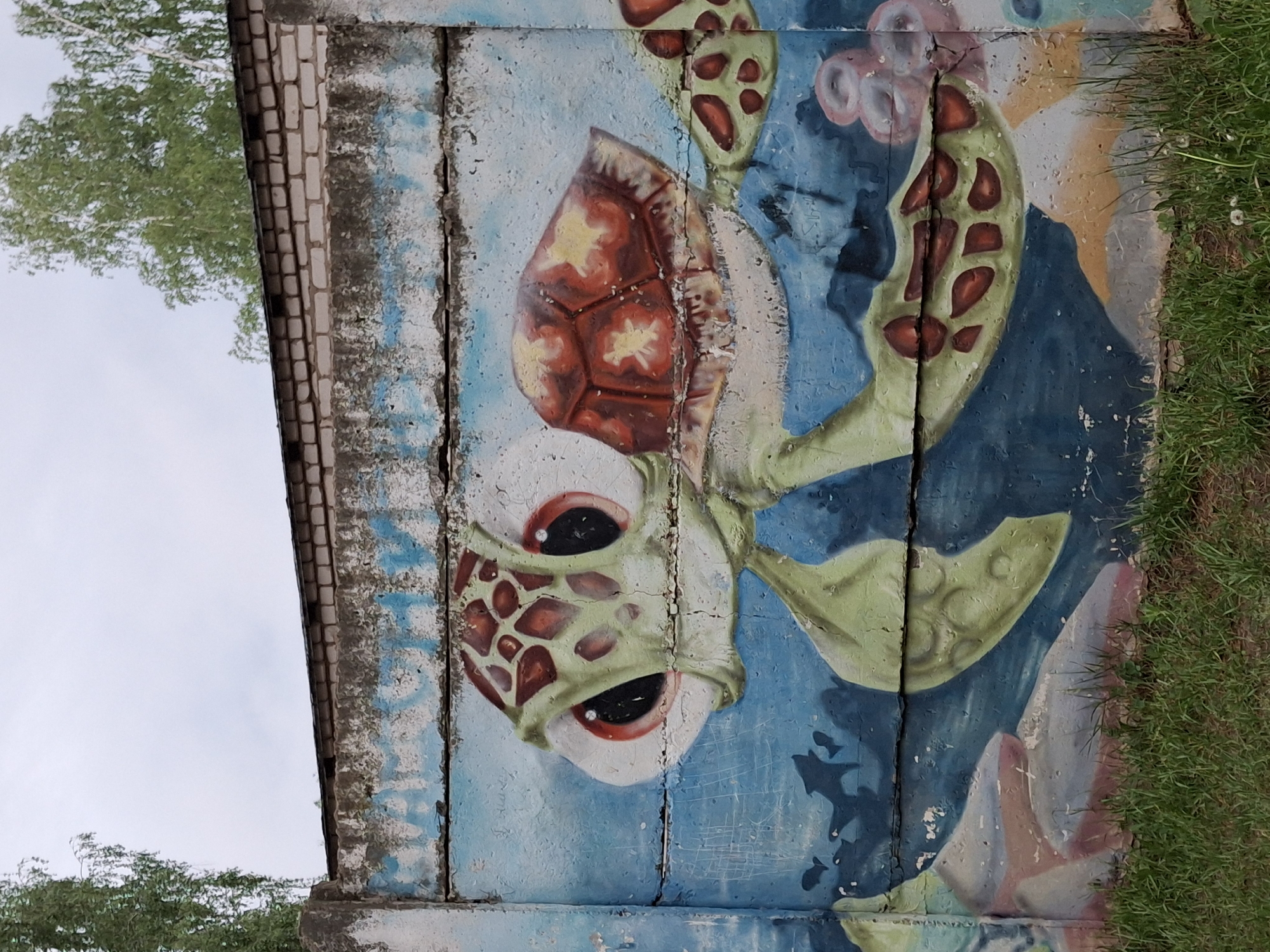 The image shows a painted mural of a turtle on a concrete wall. The wall appears to be aged, with cracks and weathered texture. The mural is stylized, with the turtle's shell depicted in orange and brown segments. Its head and limbs are painted in shades of green, with pronounced black eyes. The background is a gradient of blues, possibly representing water. The wall is located in Chaikovsky, Russia. Green grass is visible to the right of the wall, and trees and sky are visible above it.