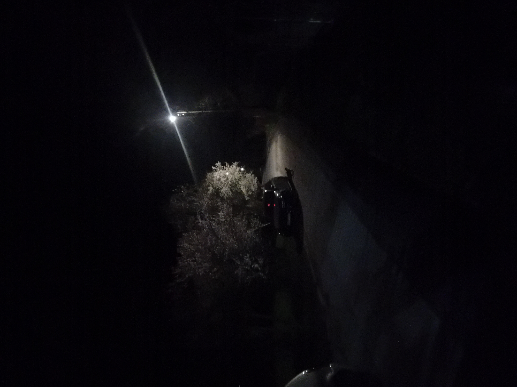 The image depicts a dark scene at night. There appears to be a narrow road or path between a wall/embankment on the right and vegetation, possibly bushes or trees, on the left. A light source, likely a streetlight, is visible in the distance illuminating the scene. A dark-colored car with its rear lights illuminated is situated on the road, somewhat obscured by the vegetation. The overall environment is dark.