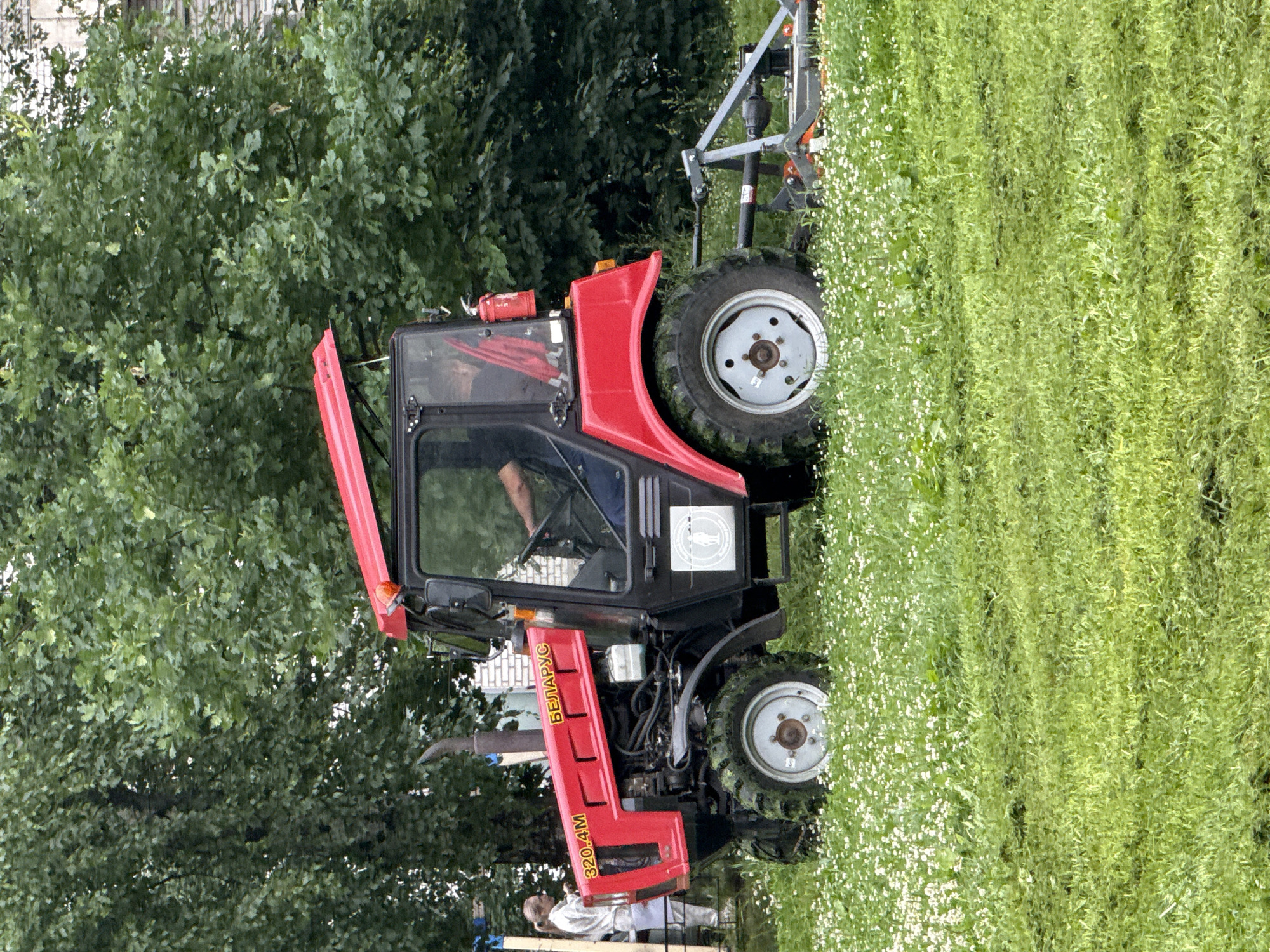A red Belarus 320.4M tractor is in the process of mowing a grassy area, likely a park or field, in Saint Petersburg, Russia. The tractor, equipped with a mower attachment, is positioned on the right side of the frame, moving from left to right, cutting the grass. A person, dressed in light-colored work clothing, stands to the left of the tractor, near the front. The environment consists of lush green grass dotted with small white flowers, with a dense backdrop of green trees and a hint of a brick building in the upper right corner, consistent with an urban or suburban setting in Saint Petersburg. The sky is overcast.