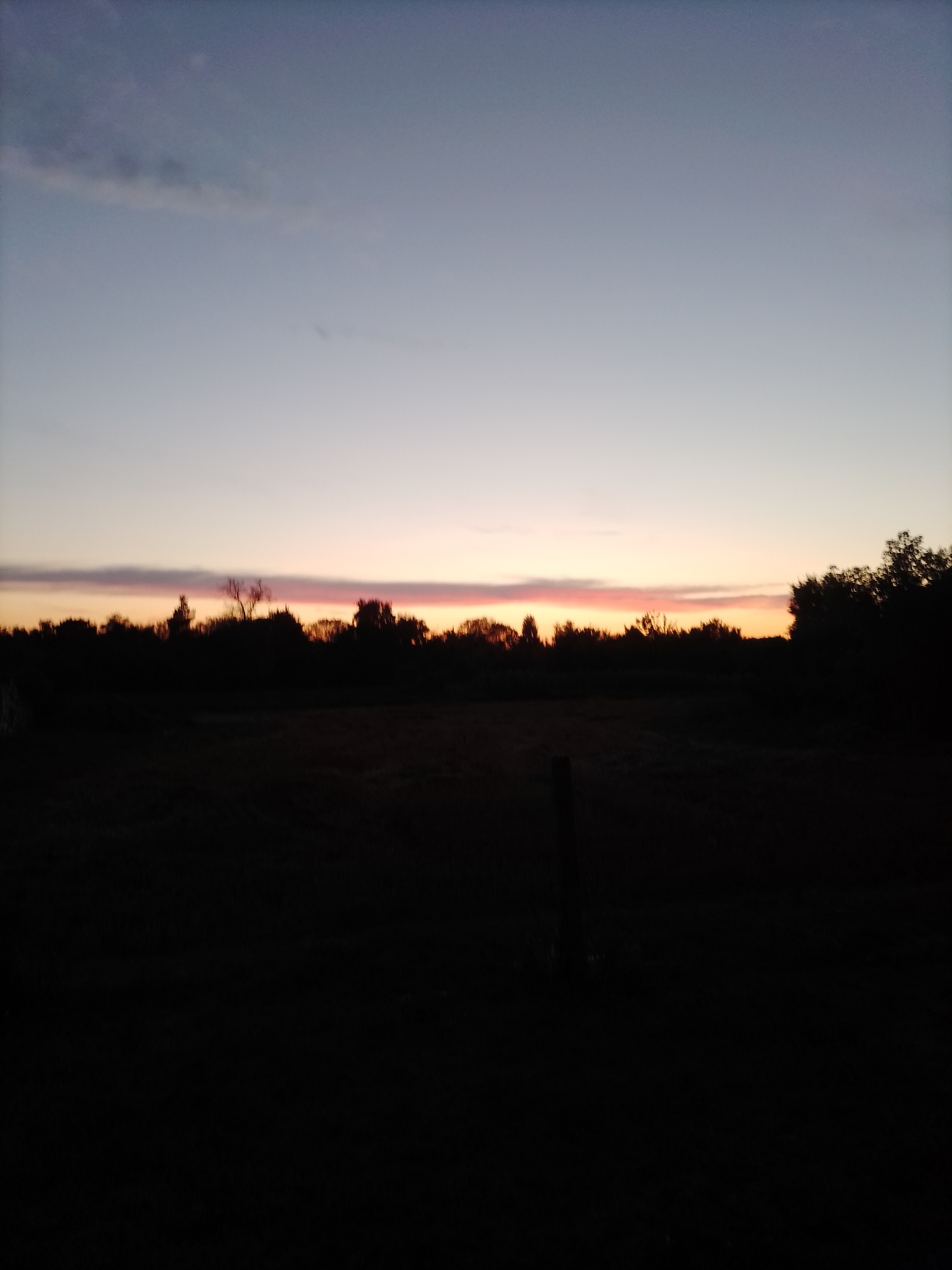 The image depicts a serene dusk scene in Ustyvytsia, Ukraine, characterized by a vast, gradient sky transitioning from a deep blue at the top to lighter shades of purple and pink near the horizon. A thin band of pink and orange hues illuminates the distant treeline, suggesting the last remnants of daylight. The foreground is dominated by a dark, silhouetted landscape. A dense line of trees forms a dark barrier against the sky, with some bare branches visible. In the immediate foreground, the ground is dark and appears to be a field, with a single, dark fence post standing vertically. The overall atmosphere is one of quietude and the transition from day to night in a rural setting.