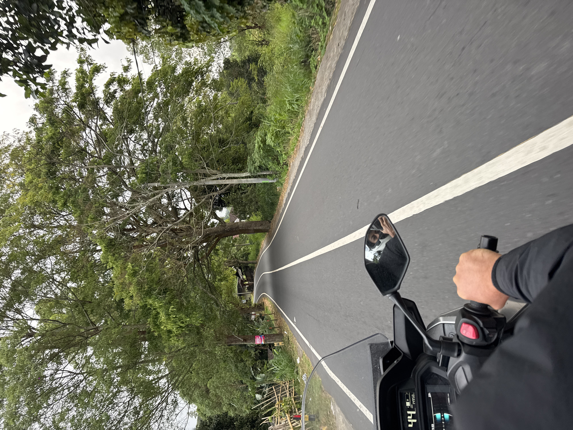 The image captures a first-person perspective of someone riding a motorcycle on a paved road in Kintamani, Indonesia. The road is bordered by lush greenery, with tall trees lining the left side, their branches creating a canopy overhead. The sky is overcast, suggesting a cloudy day. The rider's hand is visible on the handlebar, and a rearview mirror reflects their face. The motorcycle's dashboard displays a speed of "44" and other unreadable indicators. The scene depicts a peaceful journey through a natural, rural landscape. There is a sign on a tree that is too blurry to read.
