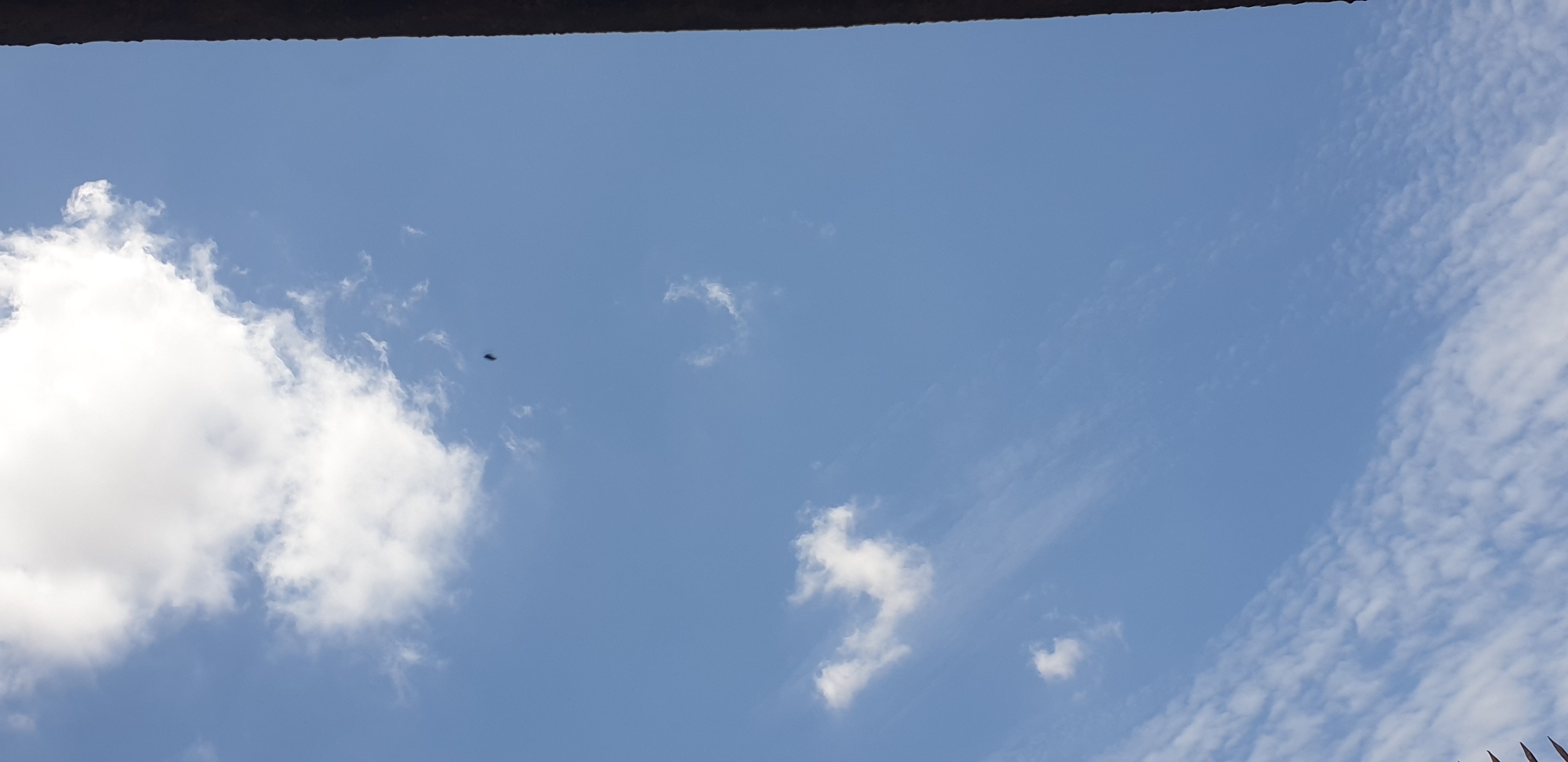 The image presents an upward view of the sky in Sabon Tasha, Nigeria, under bright daylight conditions. The upper portion of the frame features a large, bright white cumulus cloud dominating the top-left quadrant, with smaller, wispy white clouds scattered below it. In the lower half of the frame, numerous small, textured white clouds, consistent with altocumulus or cirrocumulus formations, extend across the sky. A small, dark, indistinct object, possibly an avian or insect entity, is visible in the upper-middle right area, appearing to be in motion against the blue sky. On the far right edge of the image, a dark, vertical structural element, likely part of a building or a pillar, runs the full height of the frame, providing a dark contrast to the bright sky.