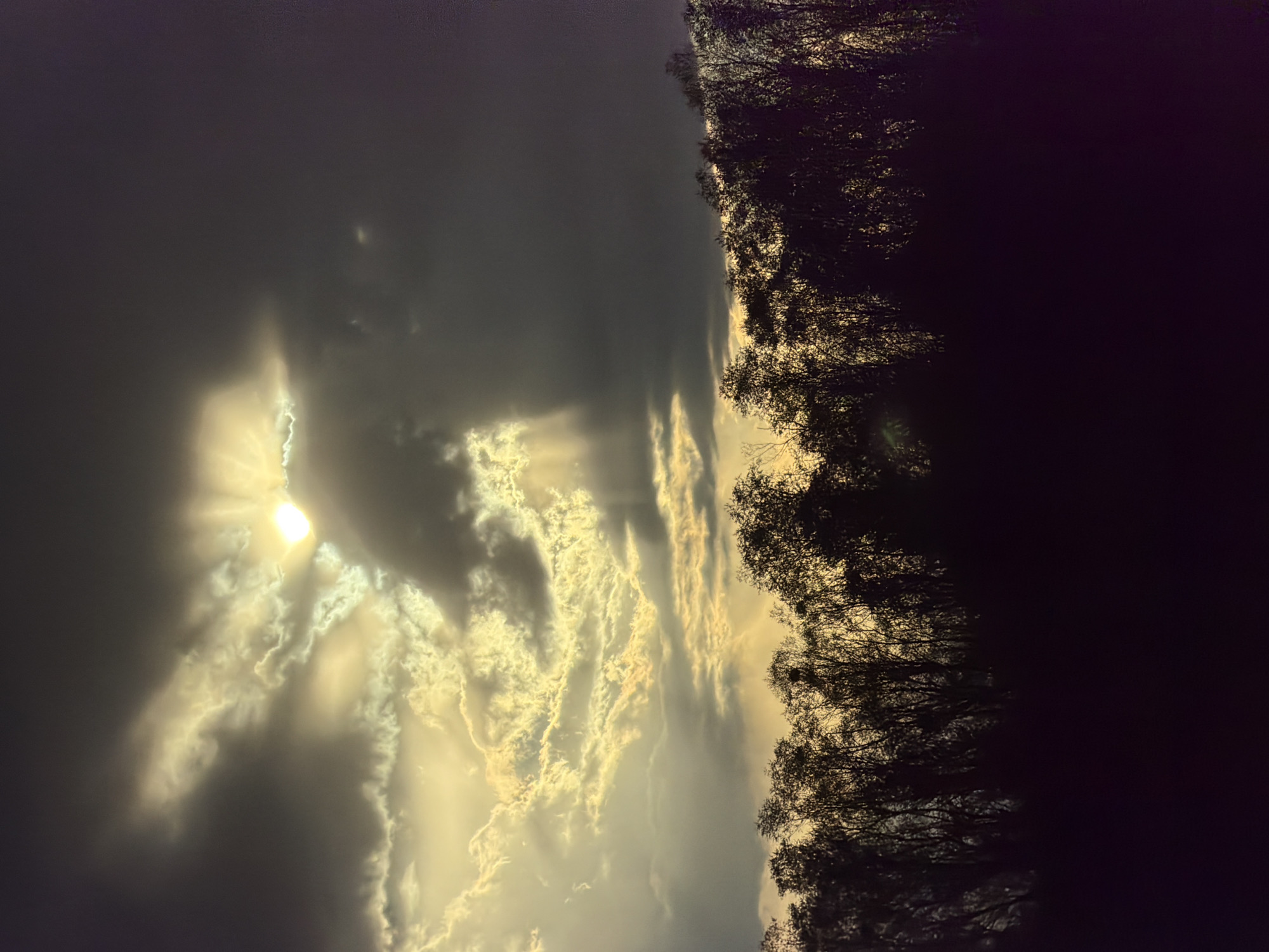 The image shows a low-angle view of the sky in Plovdiv, Bulgaria, taken near a wooded area. The sun is partially obscured by dark clouds, creating a dramatic effect with sun rays piercing through the cloud cover. The right side of the image features silhouetted trees, suggesting a forest or park edge. The sky is a mix of dark grey and bright golden hues, with the sun being the brightest point in the image.