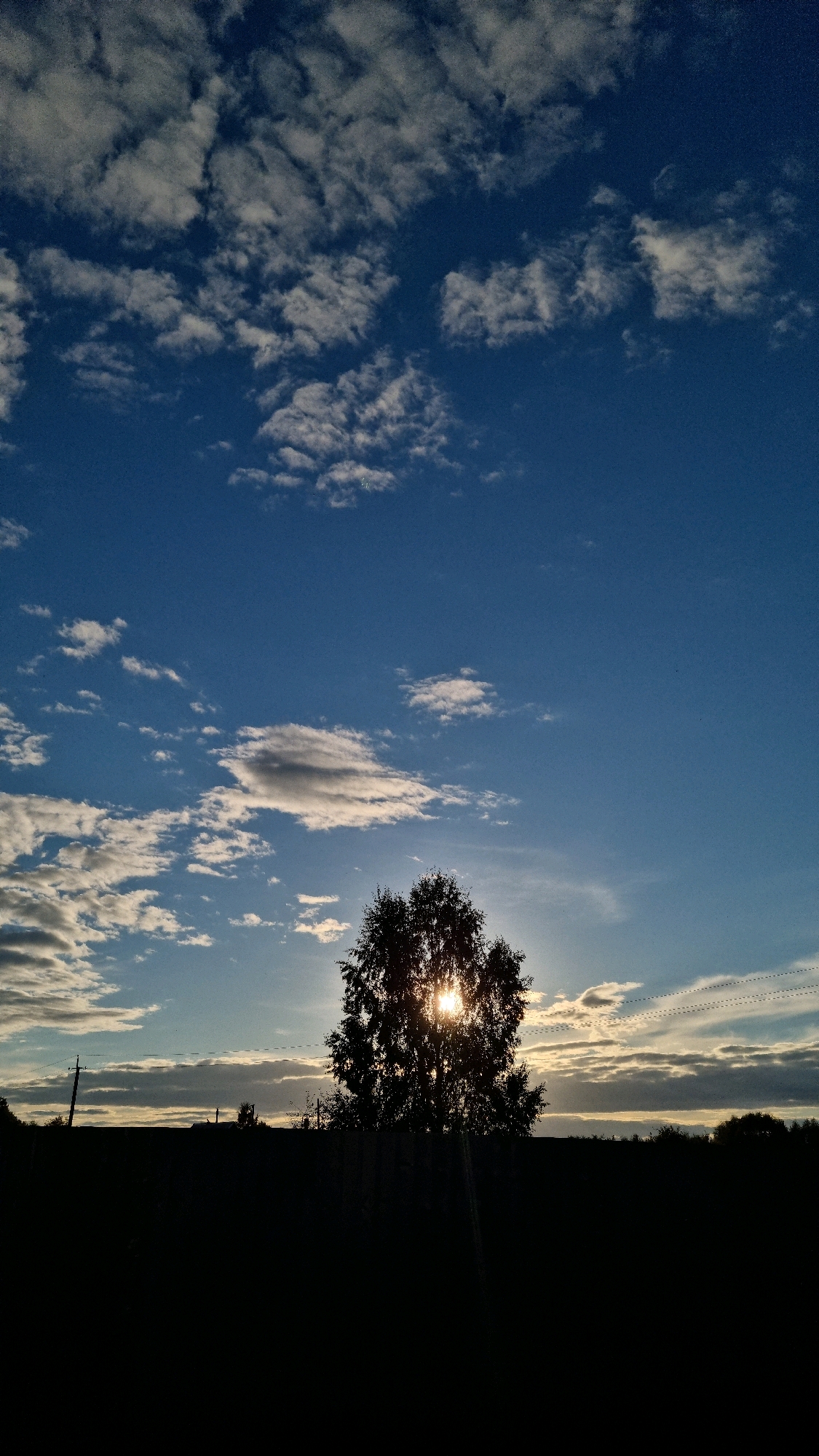 The image shows a silhouetted tree against a blue sky with scattered clouds during sunset. The sun is partially visible behind the tree, creating a bright halo effect. The foreground is dark and appears to be a field. In the background, there is a low silhouette of the city of Vysokoe, Russia, with faint outlines of buildings and a telephone pole. The lighting suggests late afternoon or early evening.
