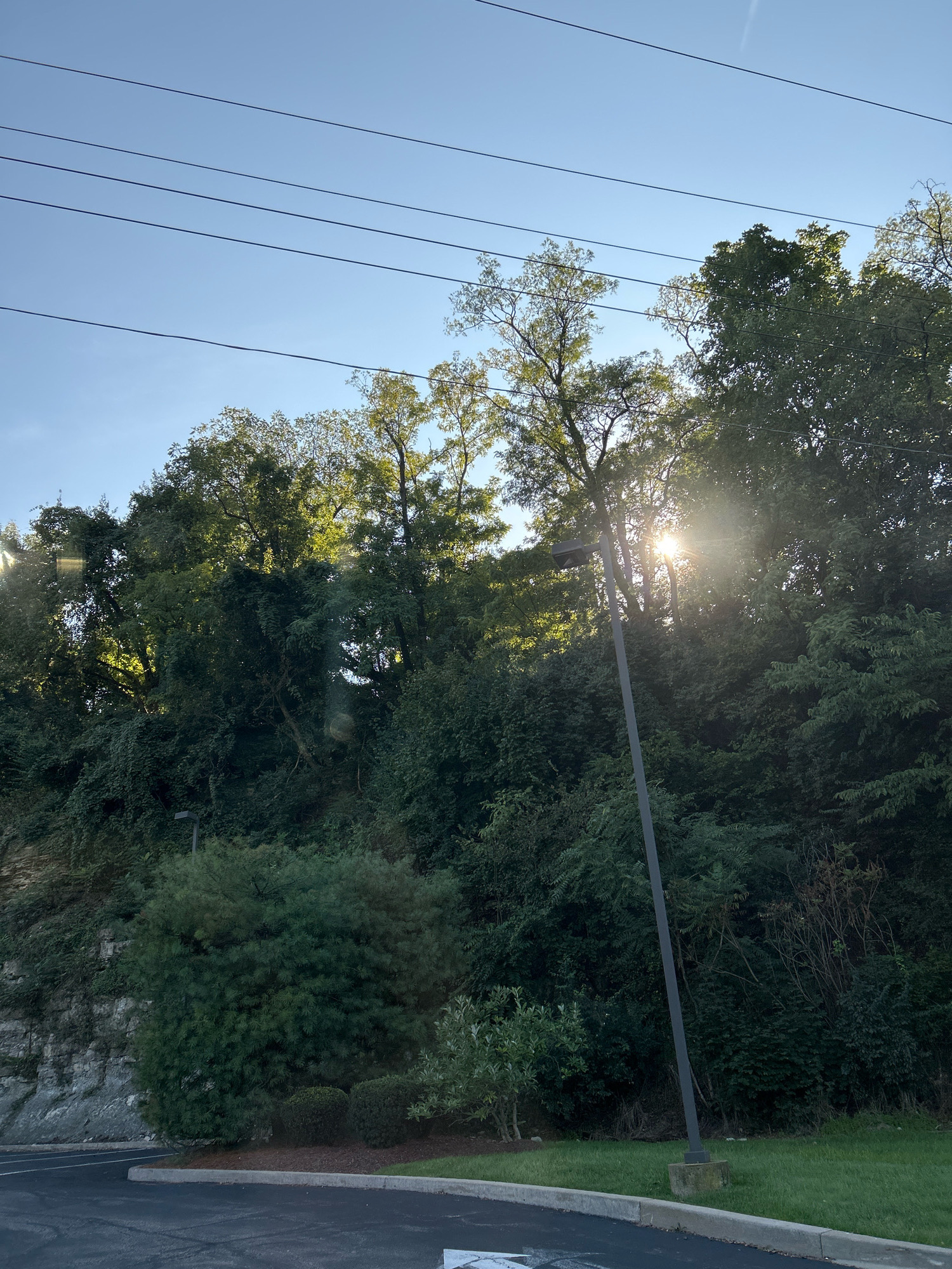 The image shows a sun-drenched scene of dense foliage against a clear blue sky. Power lines are visible stretched across the top of the frame. A tall, gray lamp post stands prominently in the foreground, angled slightly to the right, with the sun's rays emanating from behind the trees and appearing to shine through its top. The dense trees, in various shades of green, create a thick barrier that partially obscures the background. At the bottom of the image, a paved surface, possibly a parking lot, is visible, bordered by a concrete curb and a strip of grass with manicured bushes. A rocky, overgrown embankment can be seen on the left side. The overall impression is one of a natural landscape integrated with urban infrastructure.