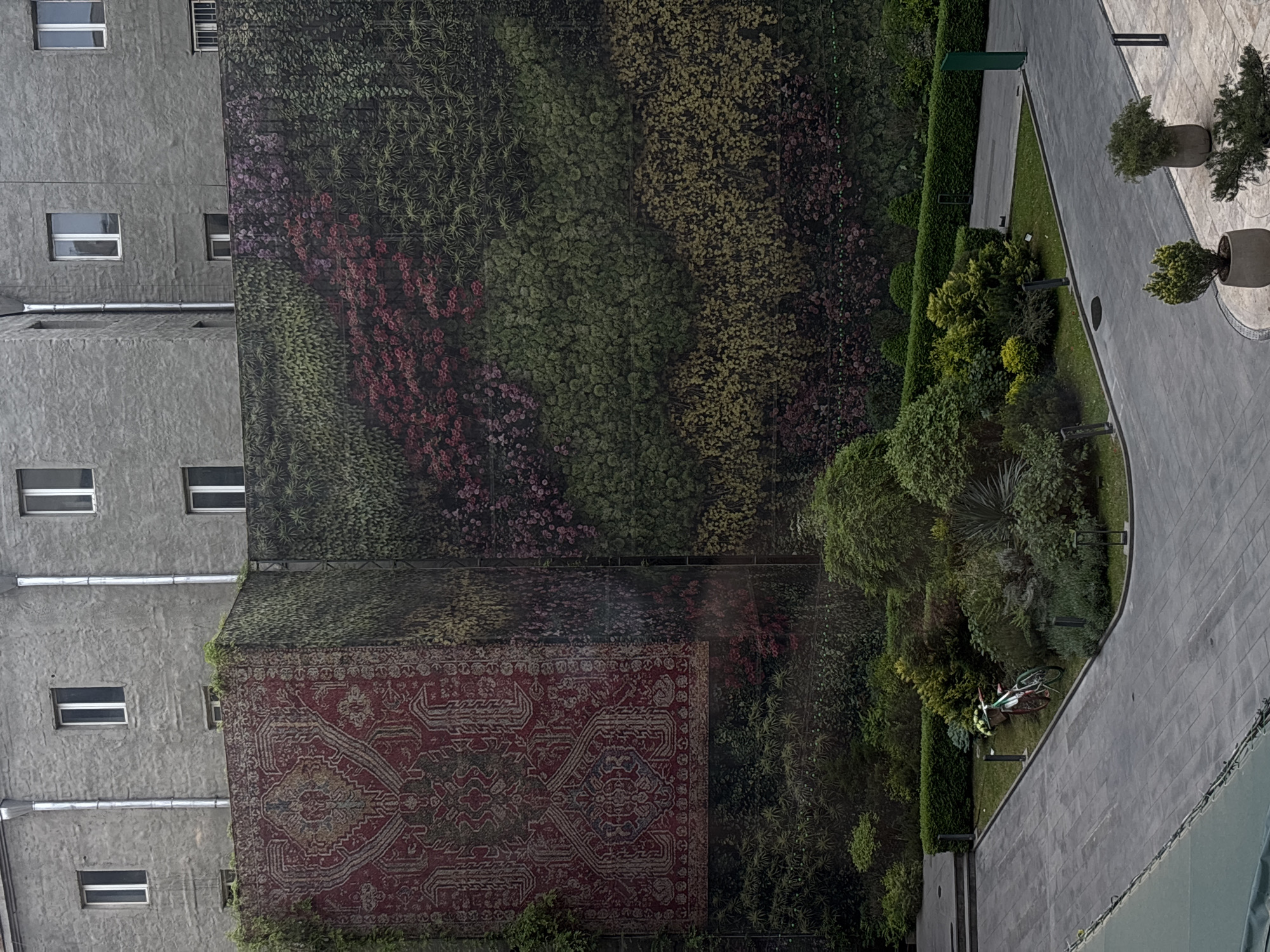 The image shows a building in Yerevan, Armenia, adorned with a vertical garden and a large rug. The building is made of gray concrete with rows of windows. The vertical garden covers a large section of the wall, featuring a mix of green plants and flowers. Below the vertical garden is a large red and brown oriental rug hanging on the building's facade. A walkway or sidewalk is visible to the right, with manicured greenery and potted plants along the edge. A bicycle is parked near some trees on the green grass.