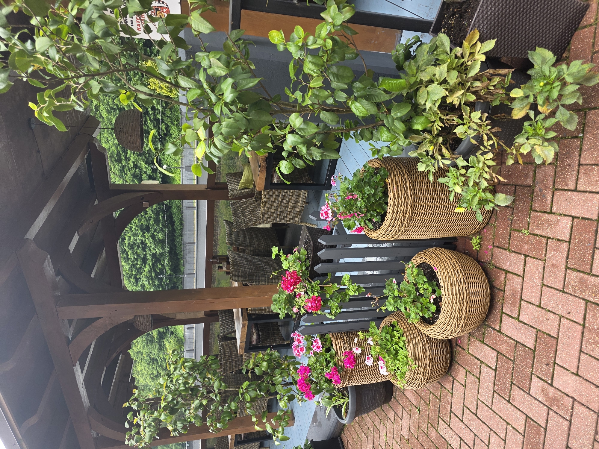 The image shows an outdoor seating area of a restaurant or cafe, likely in Estosadok, Russia. A wooden pergola with a dark roof covers a section of the seating area, which features wicker chairs and tables. The floor is paved with red brick in a herringbone pattern. Various potted plants, including flowering geraniums in wicker baskets and a larger green plant in a dark pot, are arranged on the blue wooden deck of the seating area and on the brick pavement. In the background, lush green trees are visible, suggesting a natural or park-like setting. A sign with Russian text is partially visible on a dark grey wall. The scene appears to be set in the daytime under overcast skies.