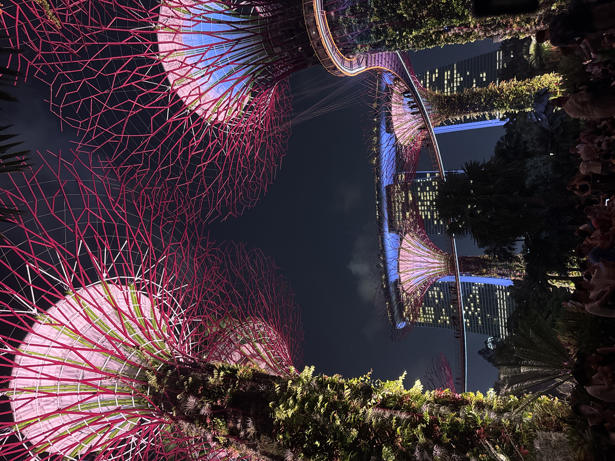 The image depicts a night view of Gardens by the Bay in Singapore, specifically focusing on the Supertree Grove and the Marina Bay Sands hotel in the background. The foreground is dominated by two large Supertrees, characterized by their towering structures resembling trees, covered in lush green vegetation. These Supertrees are illuminated with vibrant pink and purple lights, highlighting their intricate lattice-like canopies. Suspended between some of the Supertrees is an elevated walkway, the OCBC Skyway, where silhouetted figures of people can be seen strolling.
In the mid-ground, the iconic Marina Bay Sands hotel rises, a striking building with three towers connected by a sky-high platform. This hotel is also illuminated, with lights reflecting off its facade and casting a blue glow. Several more Supertrees are visible between the hotel towers, also lit up in various shades of pink and purple.
The background is a dark night sky, with the faint outline of clouds. The lower part of the image shows a crowd of people gathered on the ground, many of them looking up at the illuminated Supertrees and the overall spectacle. The atmosphere appears to be one of a popular tourist attraction, with many visitors enjoying the light show. The scene is a blend of futuristic architecture, natural elements (the plant life on the Supertrees), and a vibrant urban nightscape.