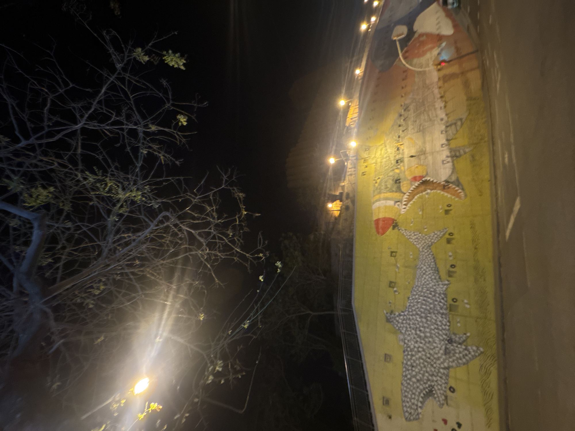 The image presents a vibrant night scene in Barcelona, Spain, dominated by artificial illumination. On the left, a large, deciduous tree with numerous bare, intertwined branches reaches into the dark sky. A bright streetlight in the lower-left corner casts a significant flare, illuminating some of the tree's branches and sparse clusters of light green leaves.
On the right, a tall wall or building facade is brightly lit by a series of warm-toned, round lights arranged vertically along its length. This wall features a colorful mural painted on a yellowish-green background. The mural depicts marine life, most notably a large, patterned, greyish-white shark-like creature, possibly a whale shark, oriented vertically on the lower part of the wall. Above it, another smaller, orange and white fish or marine animal is visible. The background of the mural includes subtle grid-like patterns and abstract markings. A thin, dark vertical element, possibly part of a railing or building edge, separates the mural from the dark background.
There is no visible human activity, and the scene appears static. The strong lighting suggests a clear night. No discernible text is visible within the image.