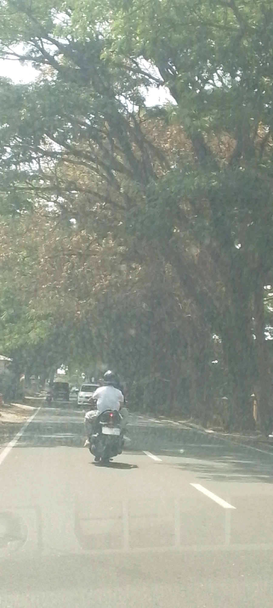 In Susukan, Indonesia, a person is riding a motorcycle on a road lined with trees. The rider, wearing a white shirt and a helmet, is positioned in the center of the frame, moving away from the viewer. The motorcycle is dark-colored with a red taillight. On the road ahead, other vehicles, including a white car and a dark-colored van, are visible. The surrounding environment consists of lush green trees forming a canopy over the road, with hints of buildings and infrastructure on the left side. The lighting suggests it is daytime, with bright sunlight filtering through the leaves.