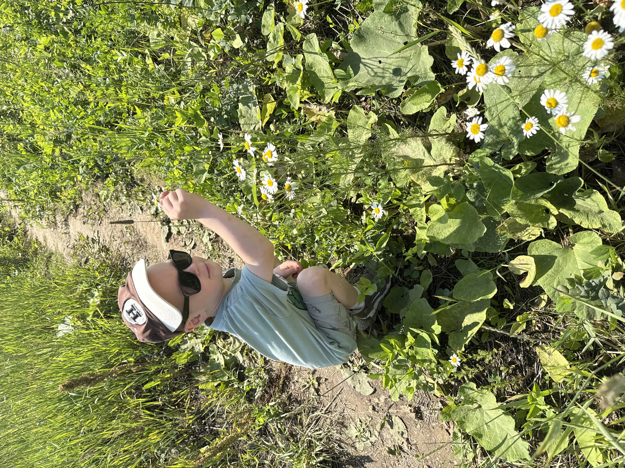 A young boy in a green t-shirt, grey shorts, a brown and white baseball cap, and black sunglasses crouches down in a grassy area, reaching out with his right hand towards a cluster of white daisies. He is on a dirt path in a field of tall green grass and plants. The boy's face is partially obscured by his sunglasses and cap, but he appears to be looking at the flowers. The background is filled with lush greenery and sunlight, suggesting a warm, sunny day. There are no other people or objects of note in the image. This scene could be anywhere with a natural outdoor environment and is not specific to Perm, Russia.