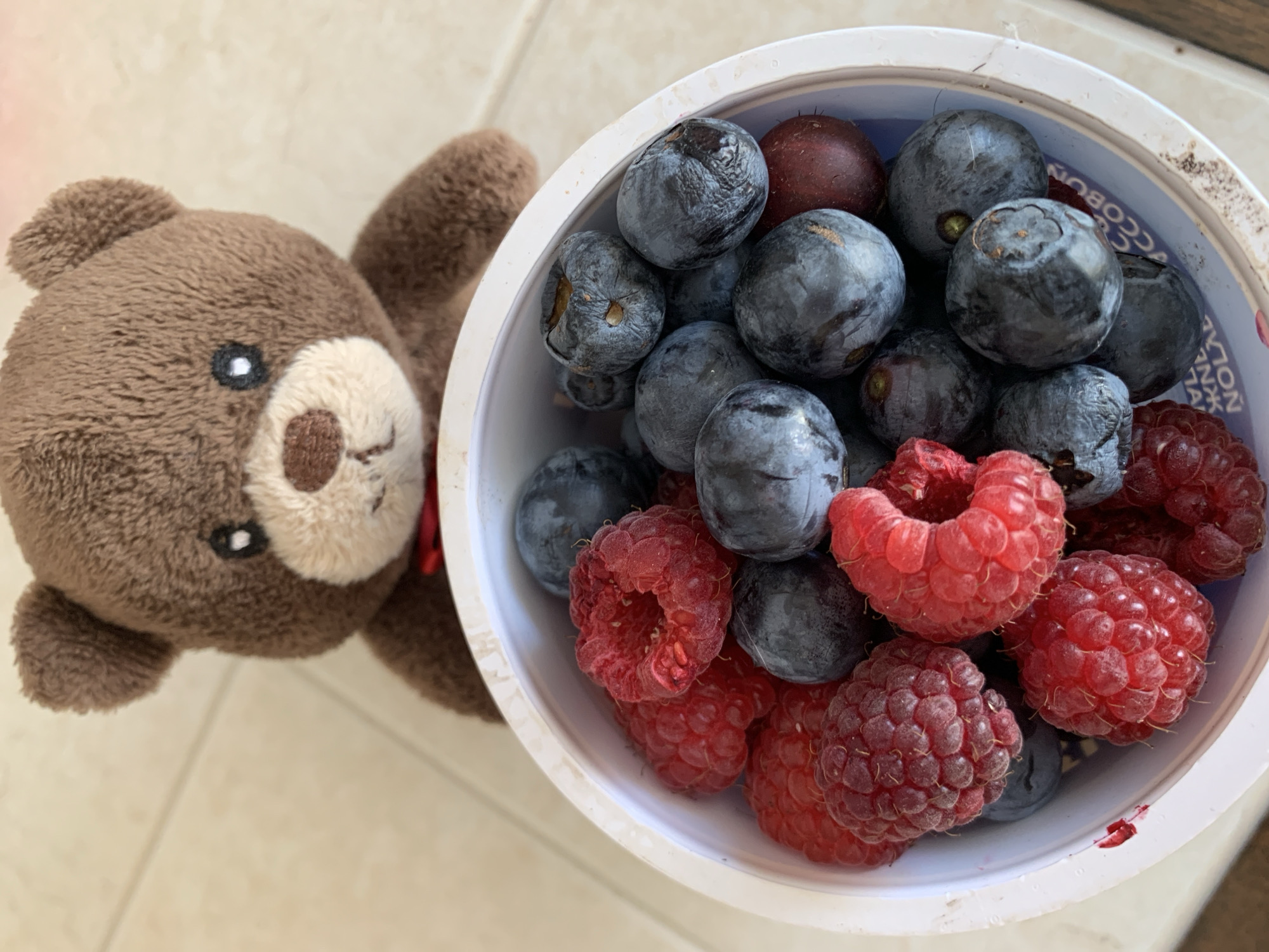 A close-up, high-angle shot shows a white plastic container filled with raspberries and blueberries, positioned in front of a brown teddy bear. The container has some text imprinted on its side, though it is partially obscured by the berries and the angle. The background consists of a light-colored tiled floor. The teddy bear is plush, with dark eyes, a lighter muzzle, and is wearing a small red ribbon bow tie. The lighting appears to be natural, casting soft shadows. The scene is indoor, likely on a table or countertop. There is no indication of the city of Kapyĺ, Belarus.