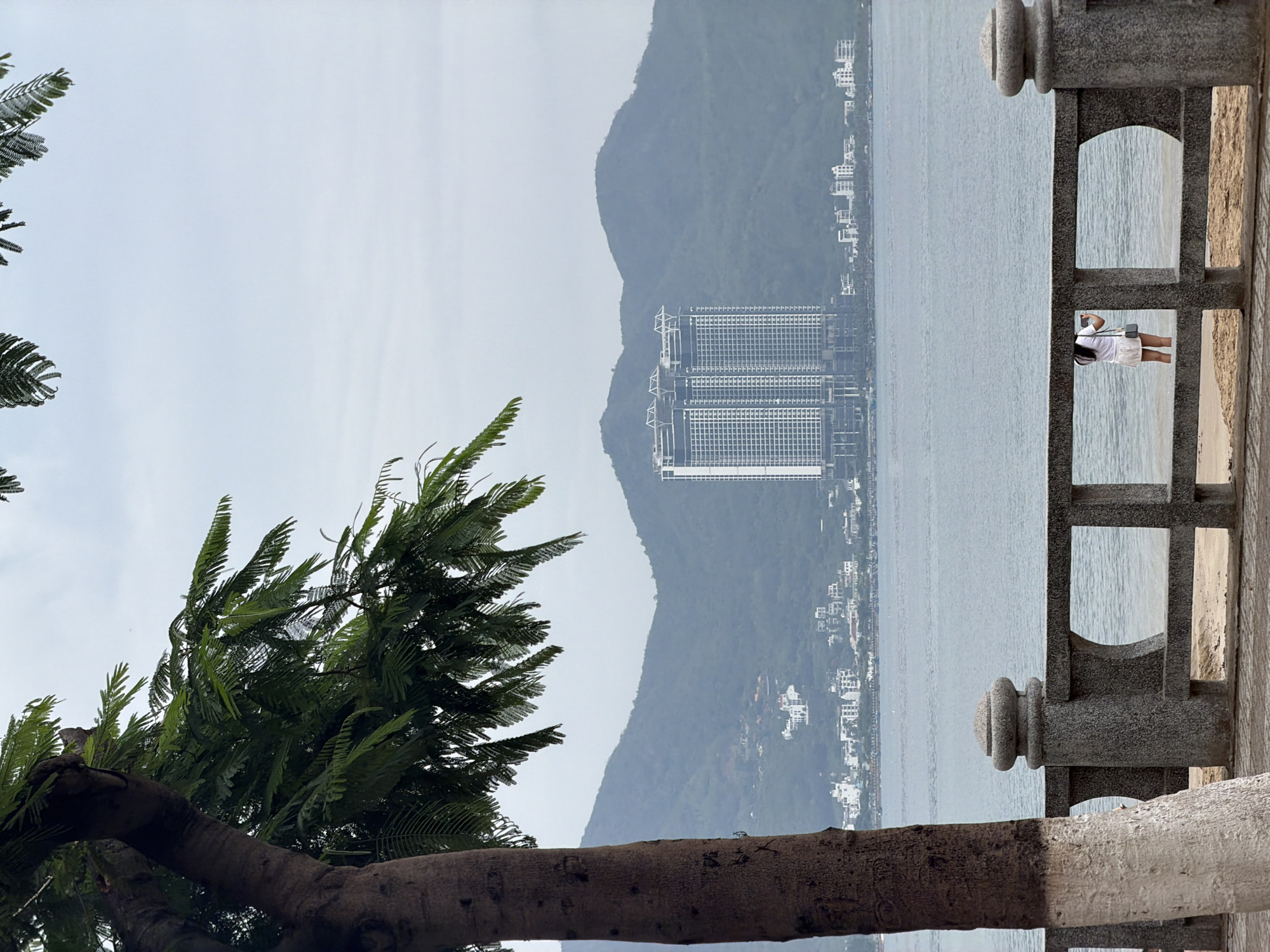 The image captures a panoramic coastal or lakeside view from a raised vantage point, likely a promenade or balcony. In the bottom right foreground, a sturdy, gray stone balustrade with decorative posts and arched or rectangular openings frames the scene. Peeking through one of these openings, on the right side of the image, is a person, a woman, with long dark hair, wearing a white short-sleeved top and white shorts or a skirt. She holds a smartphone, seemingly engaged in taking a photo or video of the expansive vista.
Dominating the left side of the foreground is the thick, dark trunk of a large tree, rising diagonally from the bottom left corner. Its abundant green, fern-like foliage extends upwards and across the top left, partially framing the sky.
Beyond the railing and the tree, a calm body of water fills the mid-ground, stretching towards the distant shore. On this far shore, in the center-left, a prominent, modern high-rise complex, appearing as two tall, multi-story towers with numerous windows, stands out. Surrounding these main structures and dotting the coastline are various smaller white buildings, suggesting urban development alongside the natural landscape. Behind these coastal developments, a sprawling mountain range, lush with greenery, rises majestically into the hazy distance, its peaks softened by the atmospheric conditions.
The sky is overcast, casting a soft, muted light across the entire scene and contributing to a gentle haze that unifies the distant elements. The time of day appears to be daytime, though without direct sunlight. There is no visible text in the image. The setting, with its blend of natural beauty and modern architecture, is consistent with a coastal area like Bac Nha Trang Ward, Vietnam.