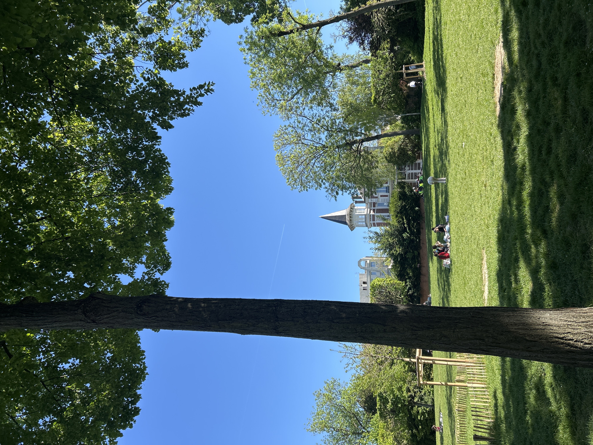 A bright, sunny outdoor scene captures a park or large green space from a low vantage point, looking up through a canopy of trees. A prominent, thick tree trunk runs vertically along the right side of the frame, with its green foliage filling the upper right and top sections, dappled in sunlight.
Beyond the trees, a wide expanse of vibrant green grass stretches across the mid-ground and background. Several small groups of people are scattered across the lawn, relaxing. Some individuals are seen sitting or lying on the grass, enjoying the pleasant weather.
In the distance, partially obscured by other trees, stands a distinctive building featuring a conical roof or turret, suggesting a historical or ornate architectural style. Other less distinct buildings are also visible further back. The sky above is a clear, brilliant blue, with a single, faint white contrail from an aircraft tracing a line across it. Shadows cast across the grass indicate direct sunlight, suggesting it is daytime, likely late morning or afternoon on a clear, warm day. A low wooden fence or barrier is also visible on the grass in the mid-ground. The overall atmosphere is peaceful and leisurely. No text is visible.