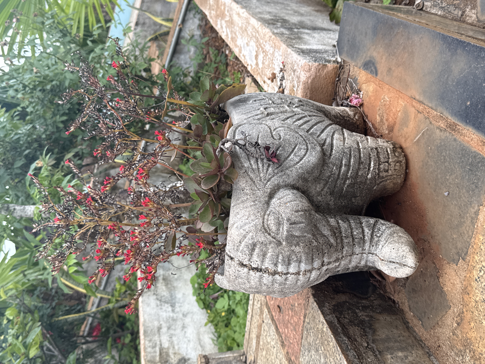 The image shows a close-up view of a stone planter shaped like an elephant's hindquarters, with plants growing out of it. The planter is made of grey concrete and has detailed carvings of an elephant's hide and ears. The plants in the planter have green and reddish leaves, with small red flowers blooming on thin stalks. The planter sits on a stone ledge or pathway, with other stone structures and vegetation visible in the background. The environment appears to be outdoors, possibly in a garden or courtyard, with lush green foliage and what seem to be concrete walls or structures. The lighting suggests an overcast day. The location is identified as Ia Hru, Vietnam.