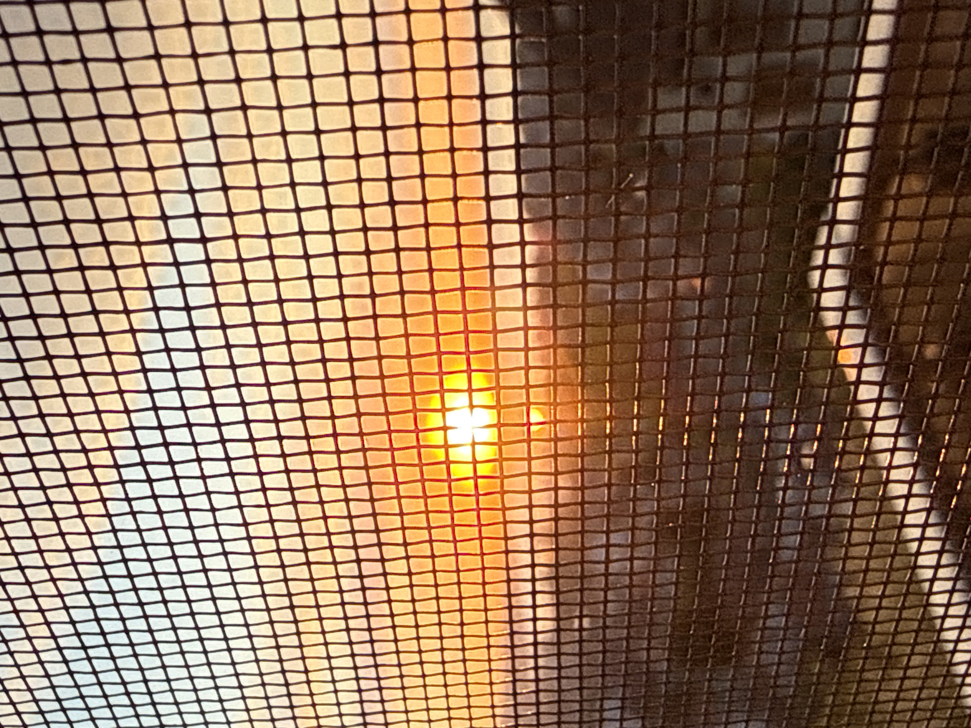 A low-angle shot shows a black wire mesh in the foreground, obscuring the view of a sunset. The mesh consists of evenly spaced squares. Behind the mesh, the setting sun is visible, creating a bright orange glow. The background to the left of the sunset shows a pale sky, while the right side is darker. Some indistinct objects, possibly buildings or trees, can be discerned on the right. The location and city are not provided.