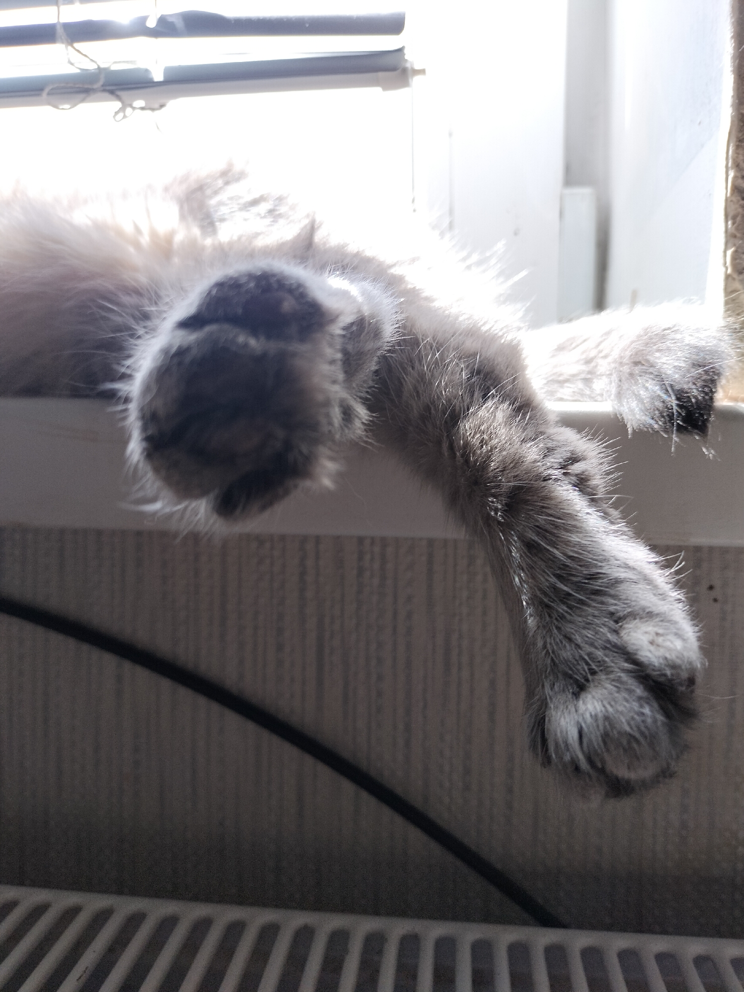 The image shows a close-up of a cat's furry paws and legs, draped over a windowsill. The cat appears to be sleeping or resting, with its body mostly out of frame. Sunlight streams in from the right, illuminating the fur and creating a bright, almost ethereal glow. The background is a blur of light and shadow, with hints of blinds or a window covering at the top. Below the windowsill, a black cable is visible, running diagonally across a textured surface that appears to be wallpaper. At the very bottom of the frame, a white, slatted object, possibly a radiator or air vent, is visible. The scene suggests a peaceful, domestic setting, likely indoors on a sunny day, as indicated by the strong light and shadows. The location is identified as Vysokyi, Ukraine, but this is not visually evident from the image itself. No text is visible in the image.