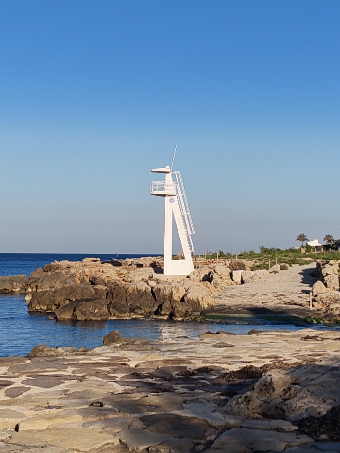 The image depicts a coastal scene in Rotes, Spain, under a clear blue sky. A prominent white, angular tower, consistent with a lifeguard station or diving platform, stands on a rocky promontory in the midground. The tower features a ladder ascending to an enclosed platform with a railing, and a mast extending upwards from its top. A circular blue emblem is visible on the tower's lower structural support.
To the left of the tower, the calm, blue sea extends to the horizon, meeting a rugged coastline formed by dark, irregular rock formations. The immediate foreground consists of flat, lighter-toned sedimentary rock slabs. To the right of the tower, a dirt path traverses the rocky terrain, leading towards the background where sparse green vegetation, possibly small trees or bushes, is present. In the distant background on the right, a white building with a visible red roof and two distinct palm trees are discernible against the sky. The scene is illuminated by natural light, casting shadows from the rocks and the tower, indicating daytime conditions. No individuals, animals, or specific actions are visible within the frame.
