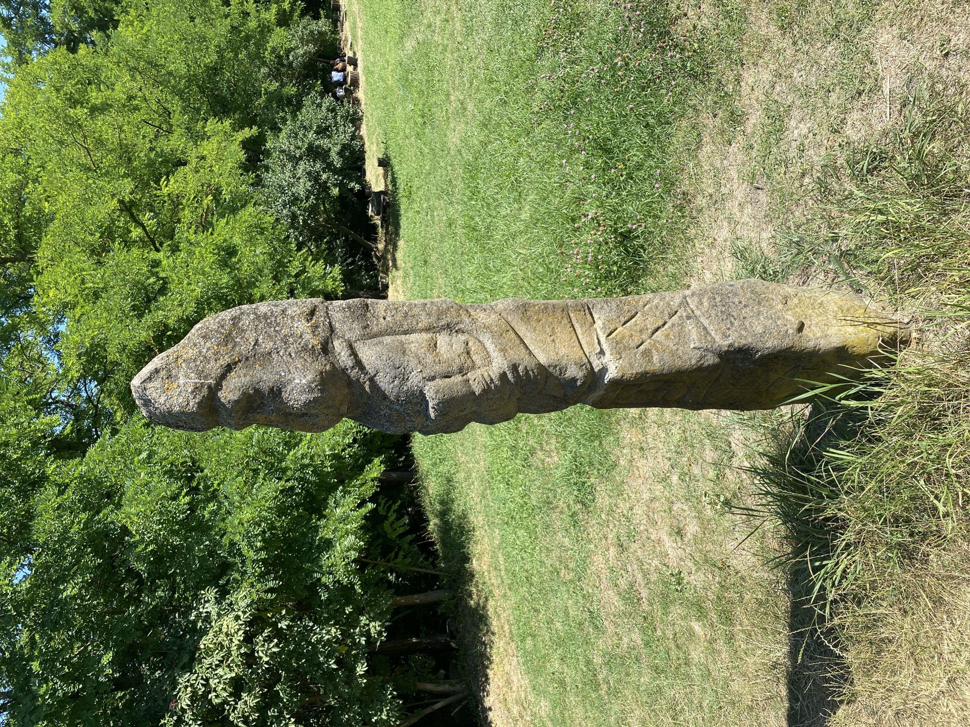 In Busha, Ukraine, a weathered stone statue stands in a grassy, sunlit clearing. The statue, carved from rough-hewn stone, depicts a humanoid figure with distinct facial features and a layered body, possibly representing clothing or armor. The stone is textured and shows signs of age, with lichen or moss growing in places. The statue is positioned vertically, rooted in the ground, with a base that appears more rectangular and solid than the carved upper portion.
The environment surrounding the statue is a pastoral landscape. Lush green grass covers the gently sloping ground, interspersed with patches of dry, yellowed grass and small, pink wildflowers. In the background, a dense wall of vibrant green trees forms a natural backdrop, creating a sense of seclusion. Sunlight filters through the leaves, casting dappled shadows on the ground.
Further in the background, several individuals are seated on low wooden stools or benches, appearing to rest or converse. Their presence suggests this area is a place of leisure or historical interest. The overall atmosphere is tranquil and suggests a warm, clear day.