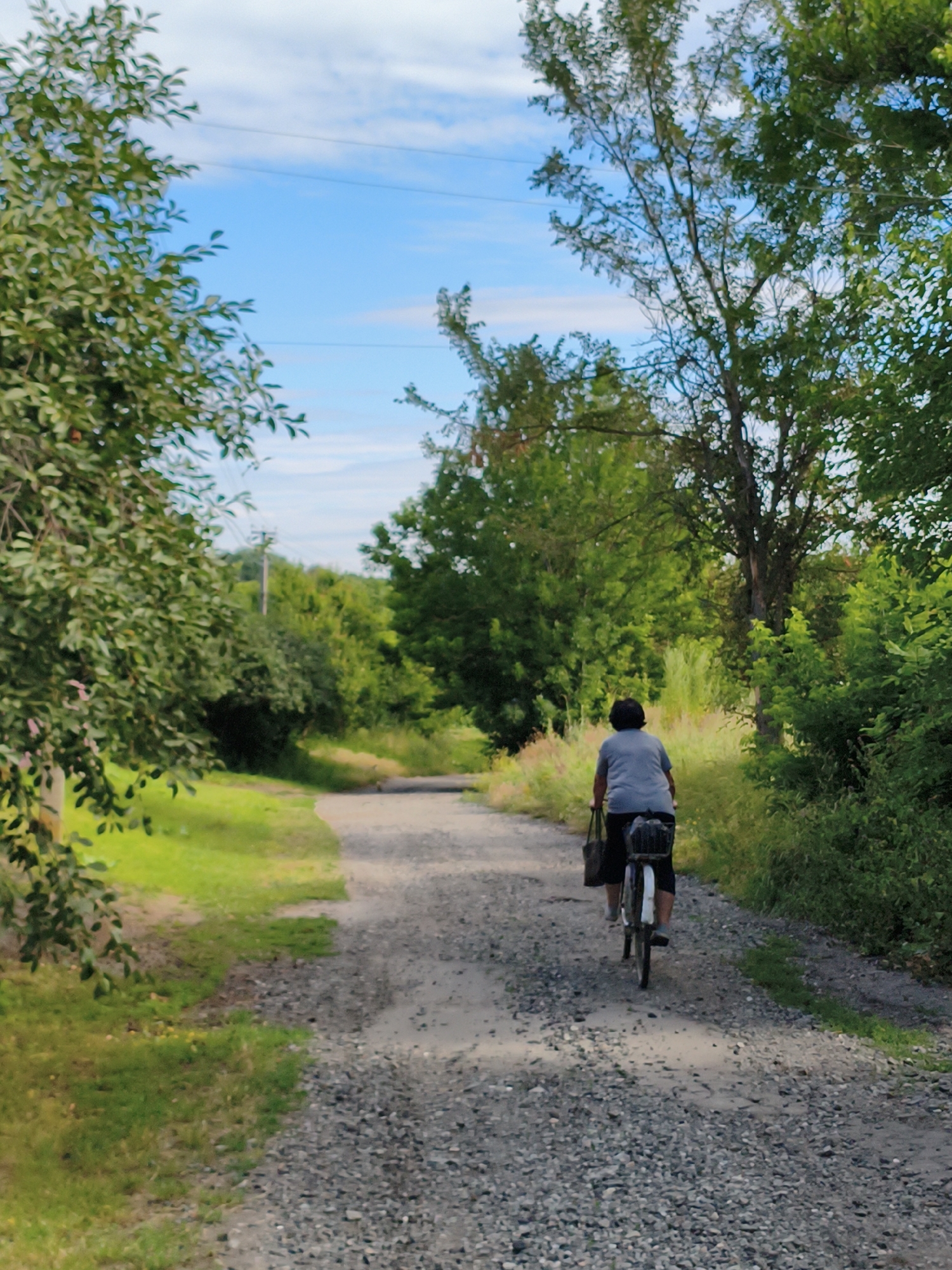 A person rides a bicycle on a gravel path lined with green grass and trees. The person is wearing a gray t-shirt and black capri pants, with a black bag slung over their left shoulder and a basket on the rear of the bicycle. The path winds through a wooded area with lush green foliage under a partly cloudy blue sky. The scene is set in Ustyvytsia, Ukraine.