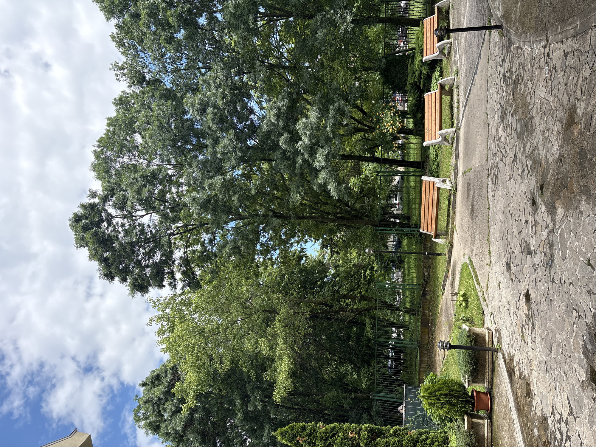 The image displays an outdoor park or garden scene characterized by abundant greenery and a winding pathway. On the left side, numerous mature trees with lush green canopies dominate the view, some appearing to be willow-like with fine, drooping leaves, while others have denser foliage. The background is also filled with trees and glimpses of a bright blue sky with scattered white clouds.
On the right, a paved pathway features an irregular grey stone surface bordered by a smoother concrete edge. Three wooden benches with light brown slats and white concrete bases are spaced along this path. A dark green metal fence, possibly ornate, runs parallel to the pathway, separating it from the dense treeline. Through the fence, hints of yellow flowering bushes and parked vehicles are visible in the distance.
Several dark lamp posts are positioned along the path and within the grassy areas. In the foreground, a small, bushy green plant in a terracotta pot rests on a low wall next to a lamp post. The corner of a light-colored building is partially visible in the bottom left. The scene is devoid of people or specific activities, conveying a sense of peacefulness. The bright sky indicates it is daytime. No text is visible.