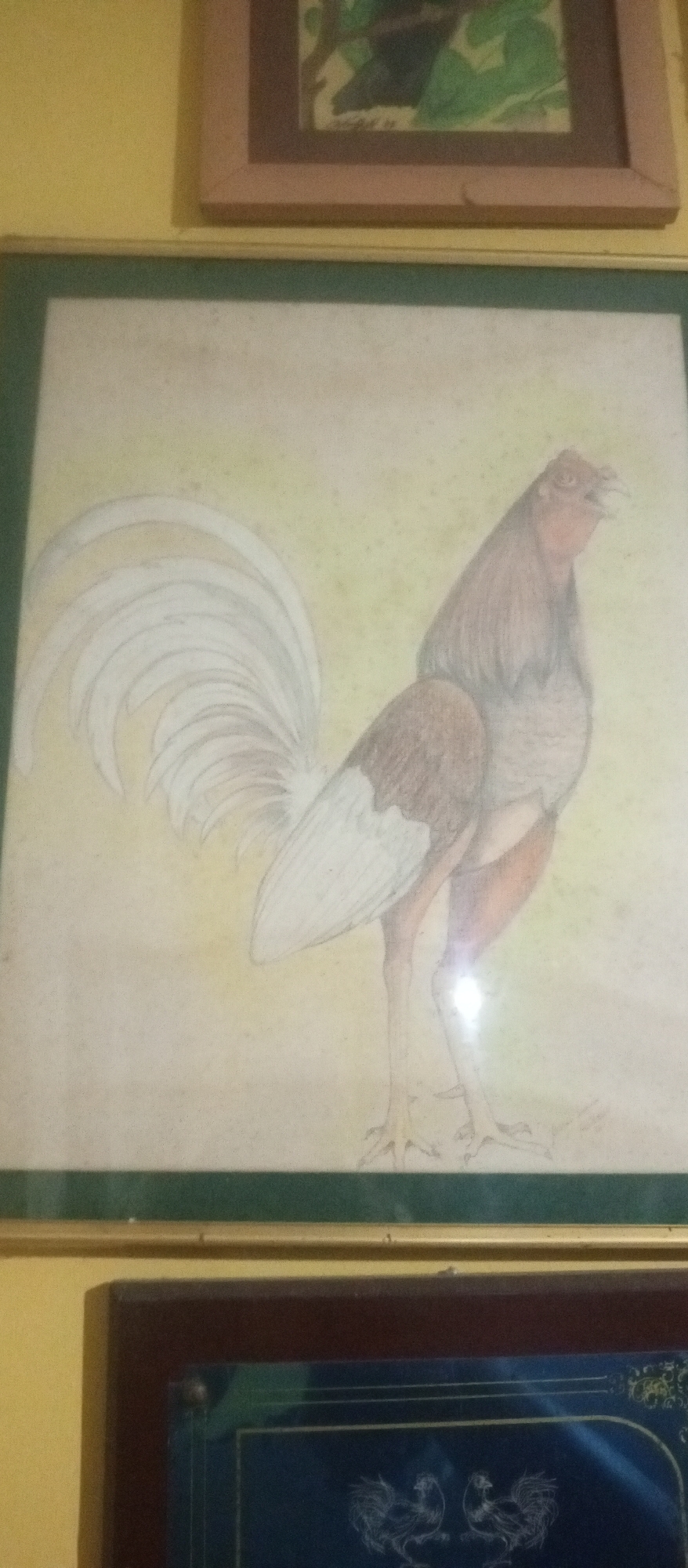 A framed watercolor painting of a rooster hangs on a yellow wall in Tinaquillo, Venezuela. Above the painting is another framed artwork, and below it is a framed dark blue image. The rooster is depicted with white tail feathers, a brown body, and a red neck. The background is a pale yellow. The paintings hang on a wall in an indoor location.