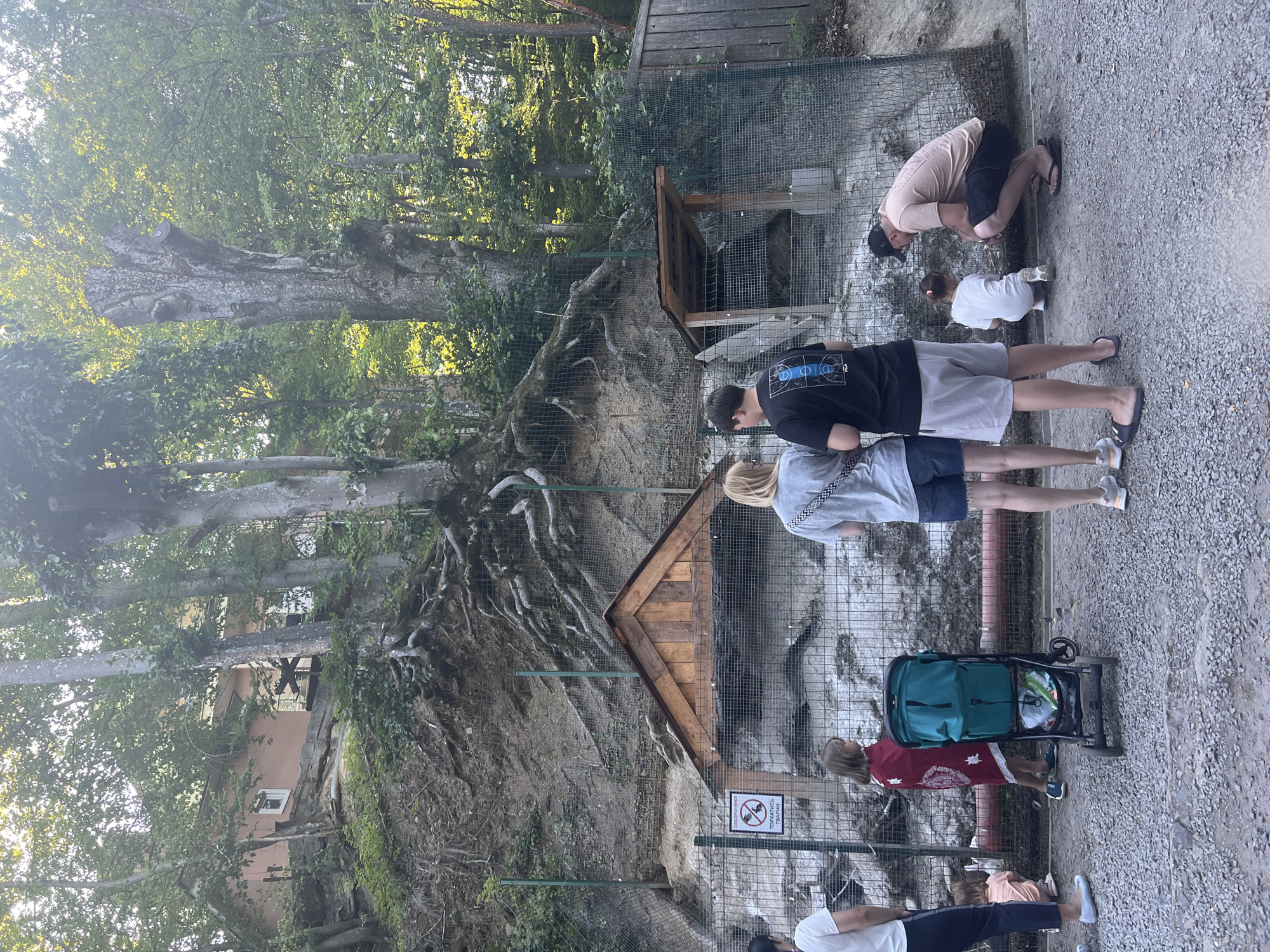 The image shows a family at an outdoor enclosure, likely a zoo or wildlife sanctuary, on a sunny day. In the foreground, a gravel path leads to a fenced area containing several people observing the animals. A woman in a white shirt and dark pants stands on the far left. Next to her, a young girl in a red garment stands near a teal stroller. A couple in casual summer attire, a woman in a grey t-shirt and denim shorts, and a man in a black t-shirt and light shorts, stand to the right of the stroller. Further right, a man in a tan t-shirt and dark shorts is crouched down, interacting with a young girl in a white shirt.
The enclosure itself is built into a rocky, overgrown hillside, with large tree roots exposed. A wooden structure, possibly a shelter for animals, is visible within the enclosure. A sign with symbols and text is affixed to the fence, indicating rules about interacting with the animals. The background features a dense forest and a building nestled into the hillside. The overall impression is a casual family outing in a naturalistic setting.
The location is the city of Сонячне, Ukraine, at a wildlife enclosure.