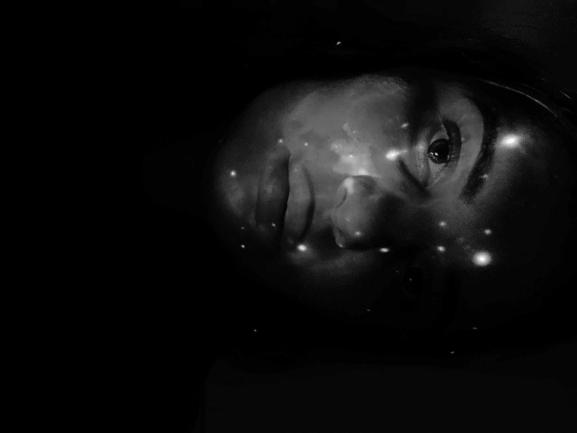 This black and white portrait features a person's face, partially illuminated and positioned on the right side of the frame, emerging from a completely dark background. The right side of the face (viewer's left) is prominently visible, including the eye, which is open and appears to be looking slightly upwards. The skin is textured, and numerous small, bright, scattered points of light, resembling stars or glittering particles, are projected onto or reflected from the face, particularly across the forehead, cheek, nose, and around the eye.
The overall scene suggests a dark environment, possibly night, emphasizing the interplay of light and shadow on the face. There is no distinct activity, but the subject's gaze and the ethereal lighting evoke a sense of contemplation, wonder, or introspection. The contrast between the illuminated face and the vast darkness creates a mysterious and dreamlike atmosphere. No text is visible in the image. The setting is Chaikovsky, Russia.