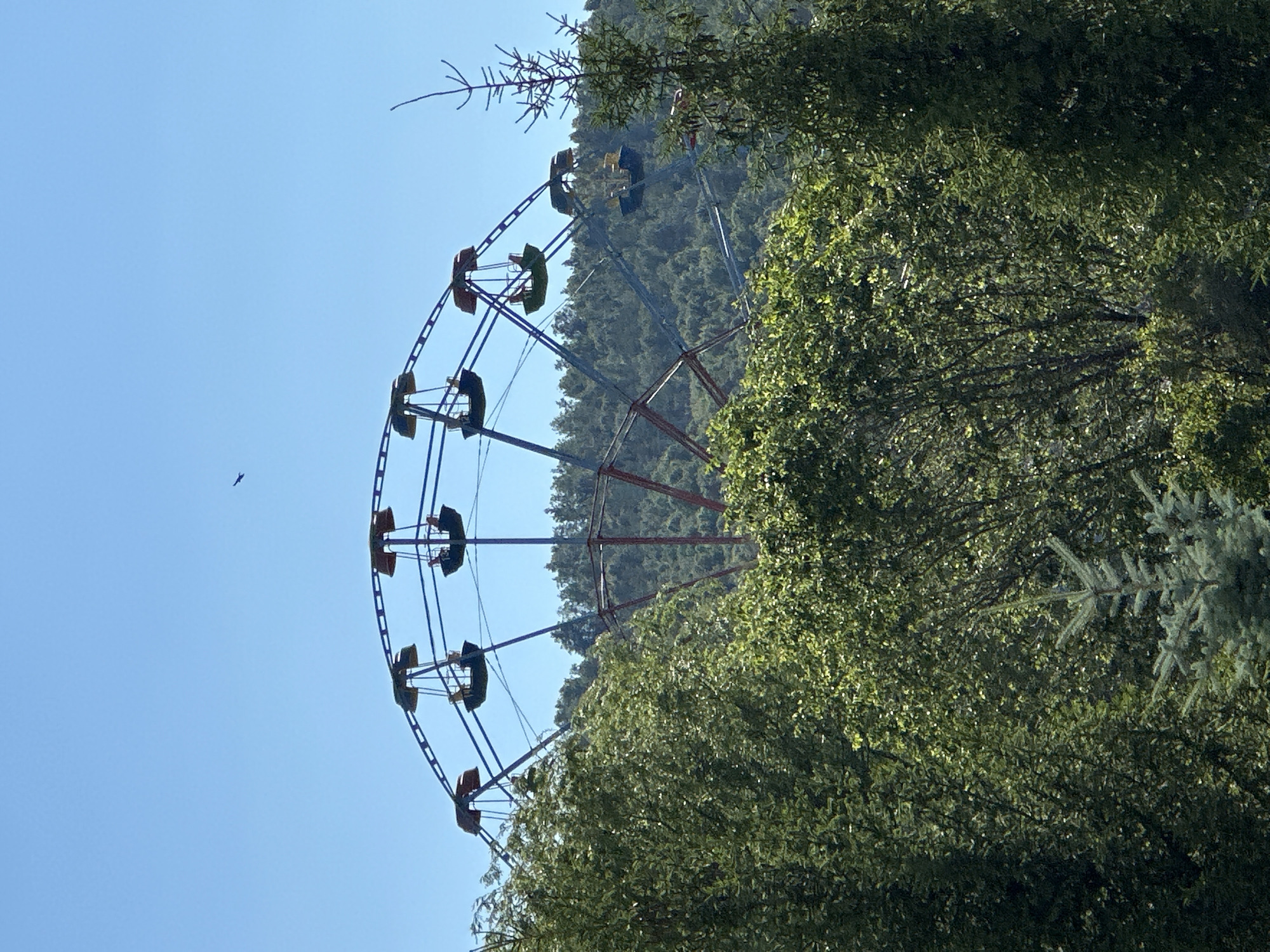 A Ferris wheel stands against a clear blue sky, partially obscured by lush green trees in the foreground. The Ferris wheel has a blue frame and red supports, with gondolas suspended from its circular structure. Some gondolas appear to be green, while others are red or yellow. A small, dark object, possibly a bird, is visible in the sky. The Ferris wheel is situated behind a dense growth of trees and foliage, suggesting it is located in a park or recreational area within a natural setting. The overall scene is bright and sunny.