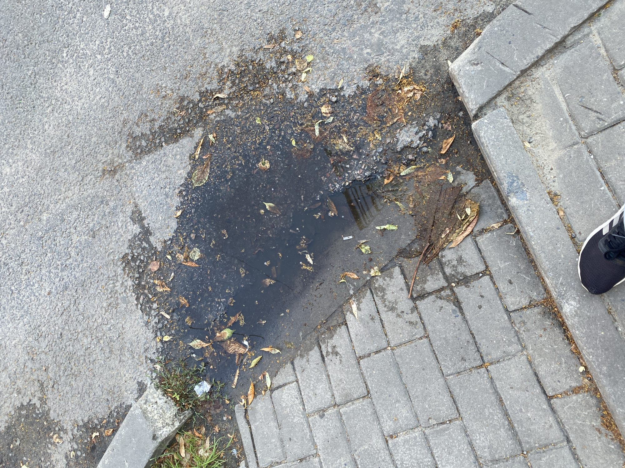 The image shows a close-up view of a wet patch of asphalt adjacent to a paved sidewalk in Voronezh, Russia. The asphalt area is irregular, with a dark, reflective puddle containing fallen leaves and debris. The surrounding asphalt is grey and appears somewhat worn. The sidewalk is constructed of rectangular grey pavers. A curb separates the asphalt from the sidewalk. In the lower right corner of the image, the toe of a black and white sneaker is visible, indicating someone is standing on the sidewalk. The lighting suggests it could be daytime, possibly overcast or after rain, given the wet surfaces. There are no visible text elements in the image. The scene depicts an ordinary urban outdoor environment.