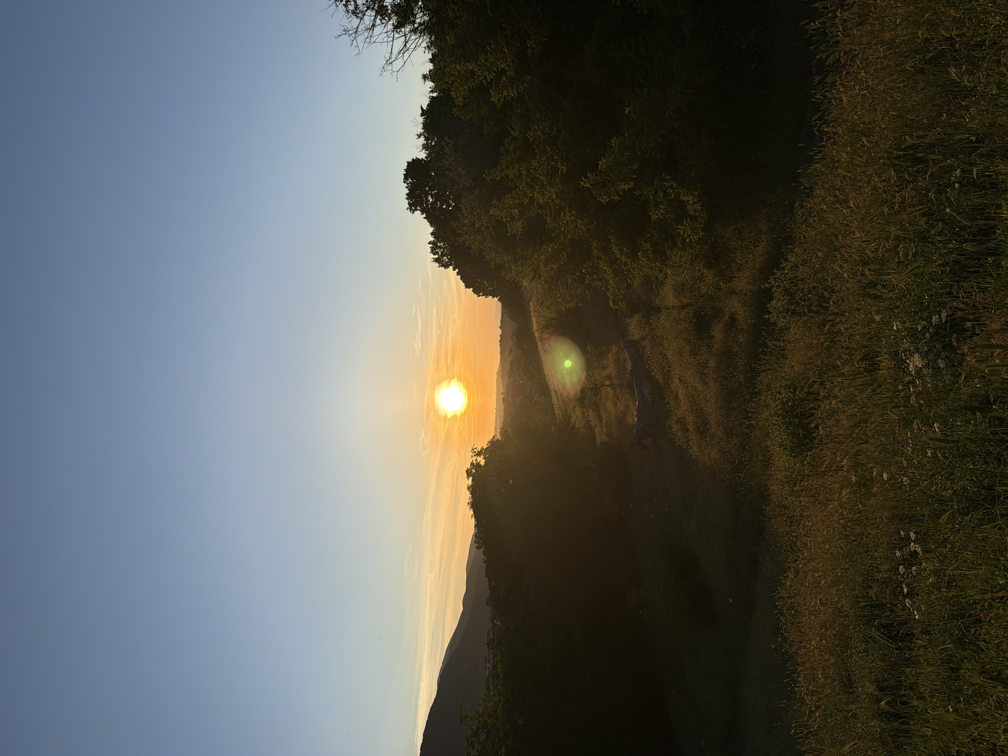The image depicts a sunset over a hilly, grassy landscape on the outskirts of Muldava, Bulgaria. The sun, a bright orb casting a warm orange glow, is positioned in the upper center of the frame, partially obscured by wispy clouds. A lens flare, a bright green circular light, is visible to the left of the sun.
The foreground is dominated by a field of tall, golden-brown grass, interspersed with small white wildflowers. Shadows are cast across this field, indicating the low angle of the sun. In the middle ground, a dense line of dark green trees stretches across the frame, partially silhouetted against the bright sky. Beyond the trees, rolling hills are visible, with the faint outlines of buildings suggesting a settlement. A mountain range forms the backdrop on the left side of the image, its slopes a deep, dark blue. The sky above is a gradient of soft blue, transitioning to a pale yellow near the horizon where the sun is setting. The overall impression is one of natural beauty and tranquility. There are no people or animals visible in the scene.