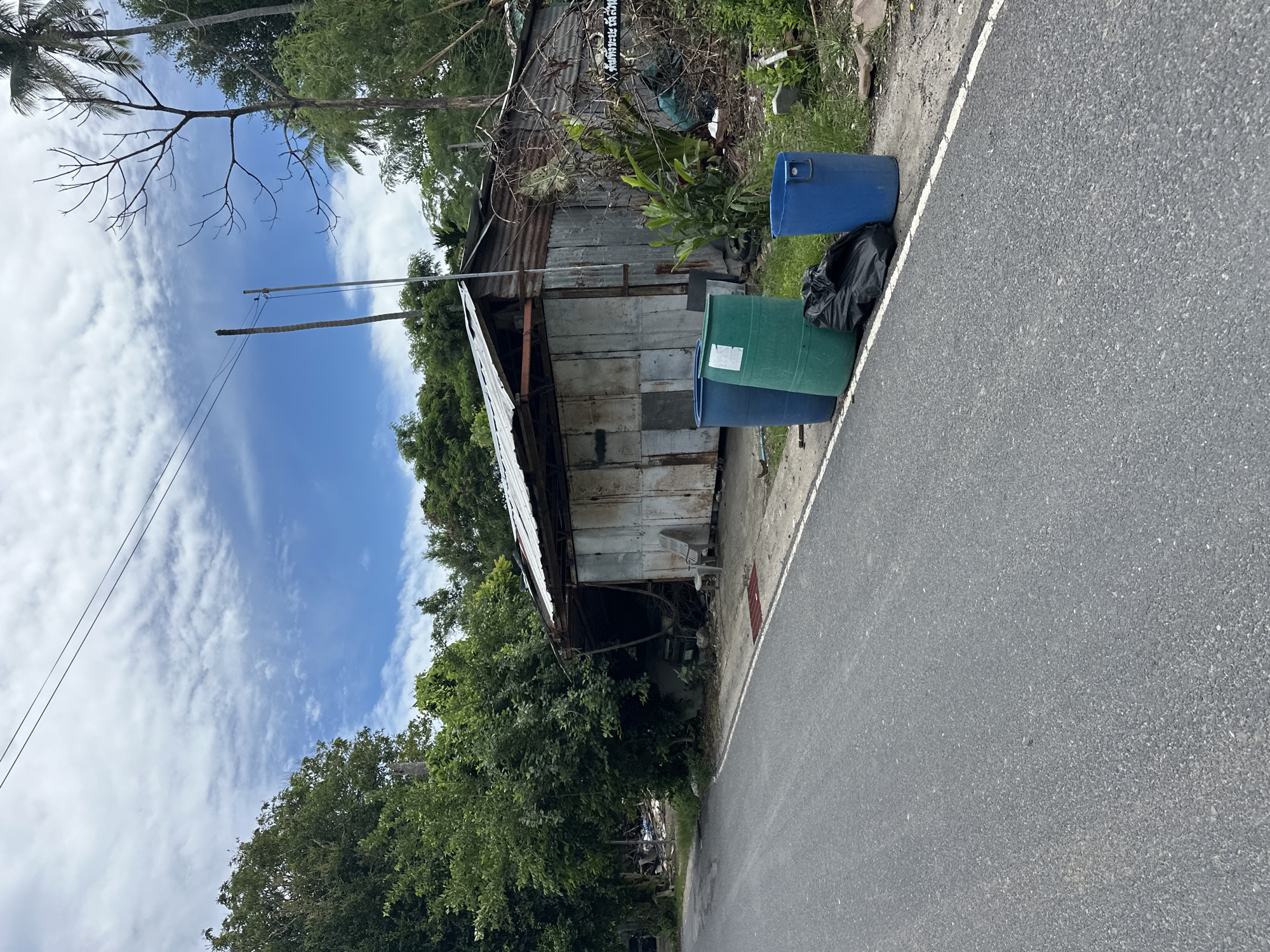 An outdoor, eye-level, medium shot captures a roadside scene with a dilapidated structure and trash bins. The foreground is dominated by an asphalt road with a white line marking its edge. To the right of the road, three large plastic trash bins—one blue, one green, and another blue—are positioned next to a black trash bag. Behind the bins, a run-down building with a corrugated metal roof and walls is visible. The building appears weathered and partially open, revealing a dark interior. Some vegetation, including leafy plants and dead branches, surrounds the structure. In the background, lush green trees and palm trees create a natural backdrop under a partly cloudy sky. The scene suggests a rural or semi-urban setting, possibly in a tropical climate.