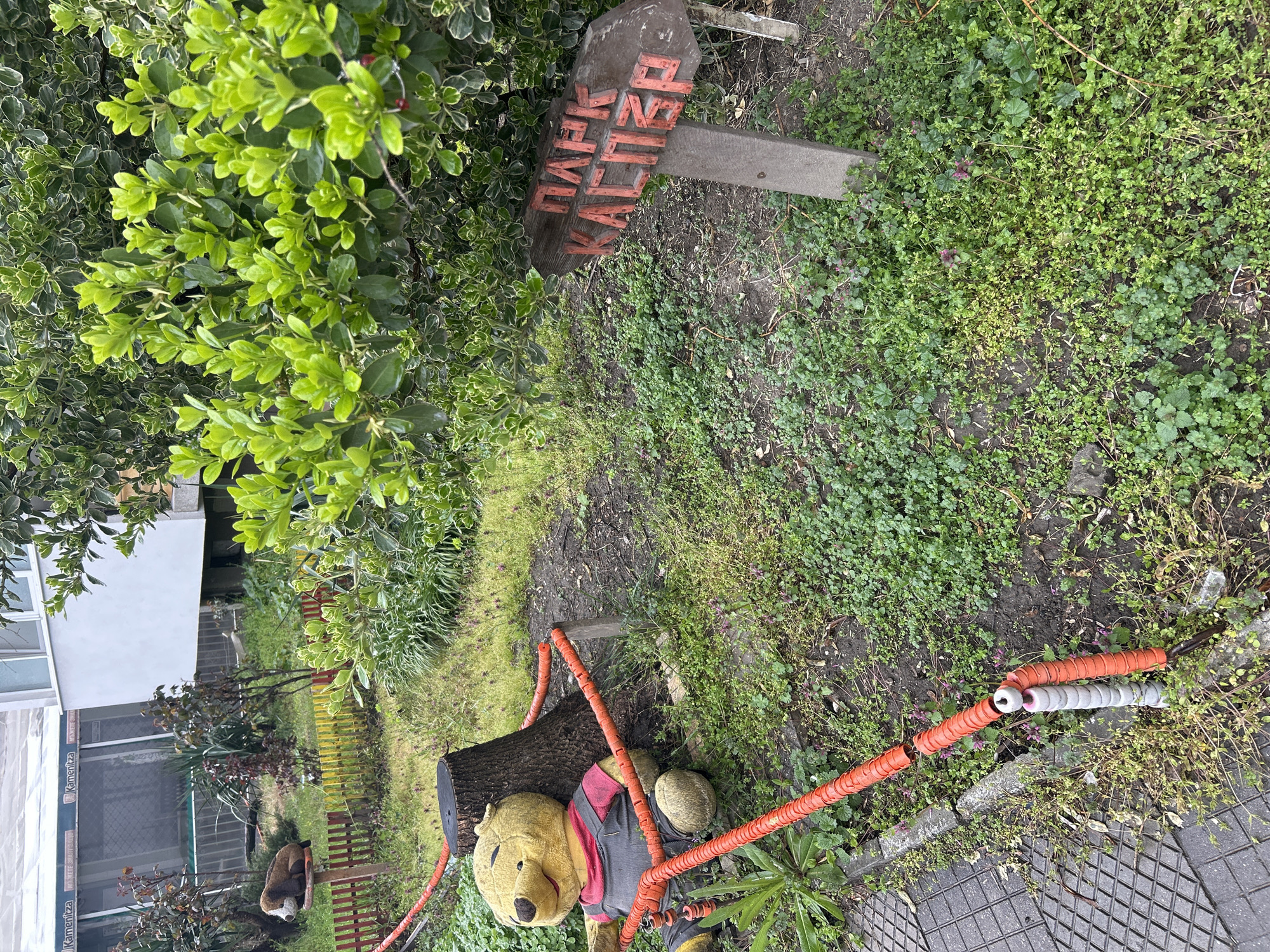 The image depicts a garden scene in Plovdiv, Bulgaria. A large stuffed Winnie the Pooh toy sits against a section of tree trunk. The toy wears a grey vest with a red collar. An orange, segmented, flexible tube surrounds the trunk. A wooden sign with red lettering reading "ПАРК КАПИТАНСКИ" is located amidst the greenery. The ground cover consists of grass and various low-lying plants. In the background, a building with windows and fencing is visible. A cat rests atop of the fence.