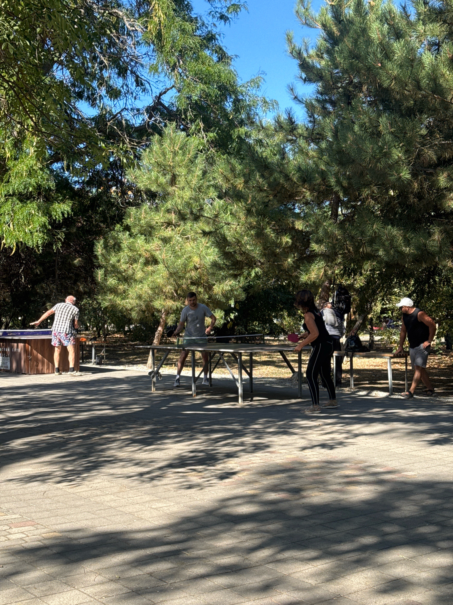 In Anapa, Russia, outdoors under a canopy of mature trees with a clear blue sky visible, a group of four individuals is engaged in a game of table tennis. The setting appears to be a recreational area with paved ground featuring a distinctive pattern of light grey and reddish-brown rectangular paving stones. Two tables are set up for table tennis.
On the left side of the image, a man with graying hair is positioned behind one of the tables, facing away from the camera. He is wearing a black and white checkered shirt and colorful patterned shorts. He is in the process of a shot, with his left arm extended.
To the right of this man, at the same table, another man is actively playing. He is wearing a grey t-shirt and dark shorts. He is also mid-action, holding a table tennis paddle and looking towards the ball.
Further to the right, at a second table, a woman wearing black athletic wear, including leggings and a sleeveless top, is playing. She has dark hair and is captured in motion, reaching for the ball with her paddle.
Standing near the second table, to the right of the playing woman, is a man wearing a black tank top, grey shorts, and a white baseball cap. He is observing the game, with his hands resting on the table.
The environment is characterized by lush green foliage from the surrounding trees, casting dappled shadows across the paved area. The tables are metal-framed with wooden sides. On the left table, a sign with Cyrillic text is visible. The overall scene depicts a casual, active gathering in a park-like environment.