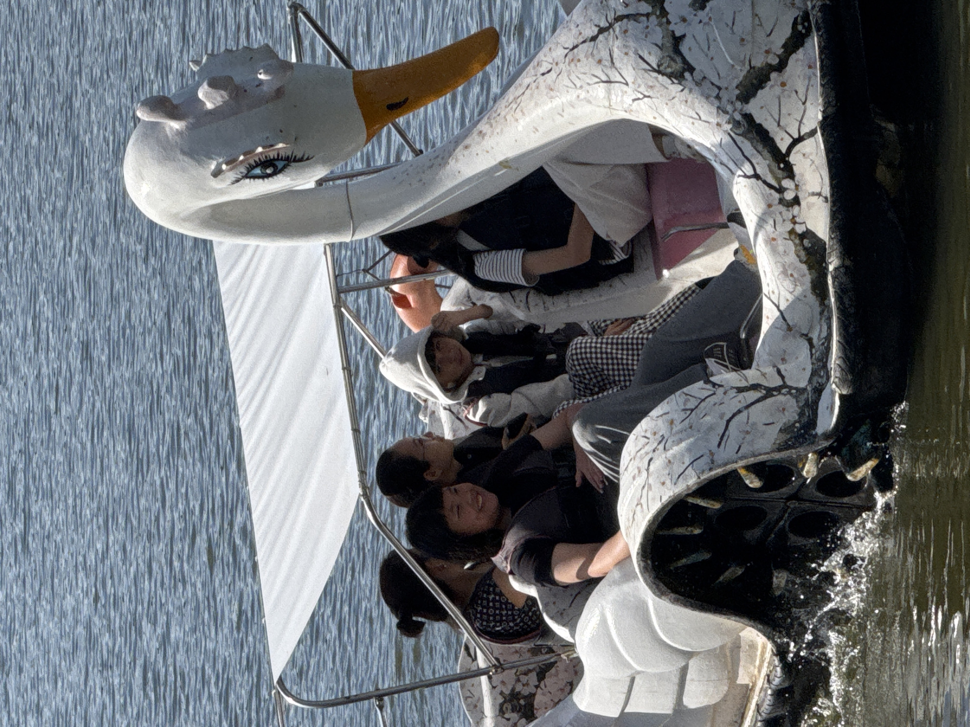 The image shows a swan-shaped pedal boat on a body of water, likely a lake or a slow-moving river, in Dalat, Vietnam. The boat is white with a large, stylized swan head and neck at the front, painted with large blue eyes and a yellow beak. The body of the boat is decorated with a motif of blooming cherry blossoms. There are five people on board, all appearing to be of East Asian descent. In the foreground, a woman with short black hair is smiling, wearing a dark vest over a black t-shirt and grey pants. To her left, another woman with her hair in a bun is wearing a patterned top. Behind them, two younger individuals are visible; one is wearing a grey hoodie and a checkered outfit, and the other is obscured by the swan's neck, wearing a vest. The water is calm with ripples, indicating the boat is in motion. The day appears sunny, casting shadows. The presence of a swan-shaped pedal boat is a common sight in tourist areas of Dalat.