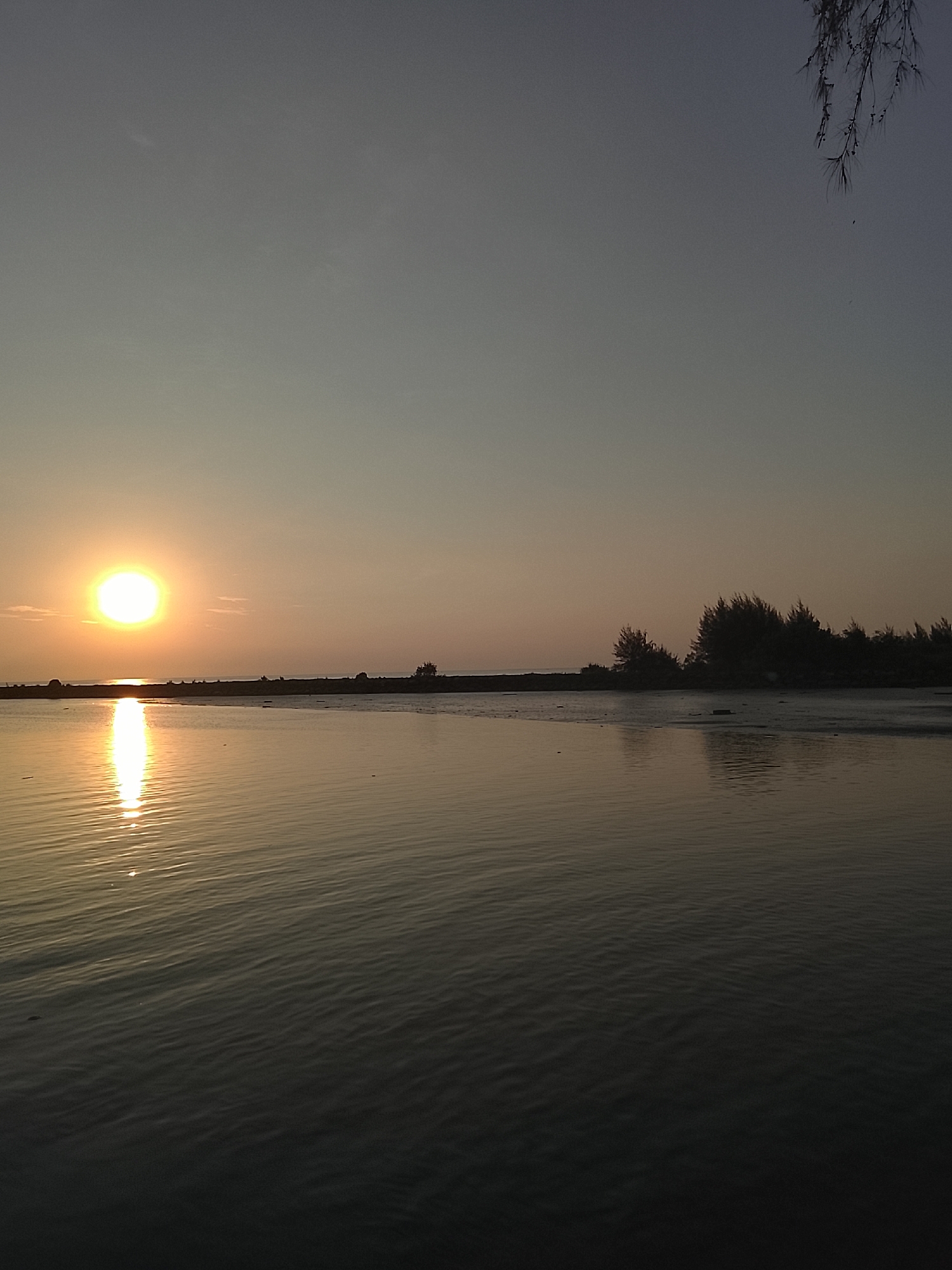 The image depicts a sunset scene at a beach in Reudeuep, Indonesia. The sun, a bright orb of light, is positioned on the left side of the frame, casting a golden reflection on the calm water. The water surface exhibits gentle ripples, with the reflection of the sun creating a shimmering pathway. In the distance, a dark, silhouetted line of trees and a long, low structure suggest a coastline. The sky transitions from a pale yellow near the horizon to a muted gray at the top, with a hint of twilight. A thin branch of foliage hangs into the upper right corner of the frame, adding a natural element to the composition. There are no people or animals visible in the image, focusing the scene on the natural landscape and the atmospheric conditions of a coastal sunset. The overall impression is one of tranquility and the serene beauty of nature.