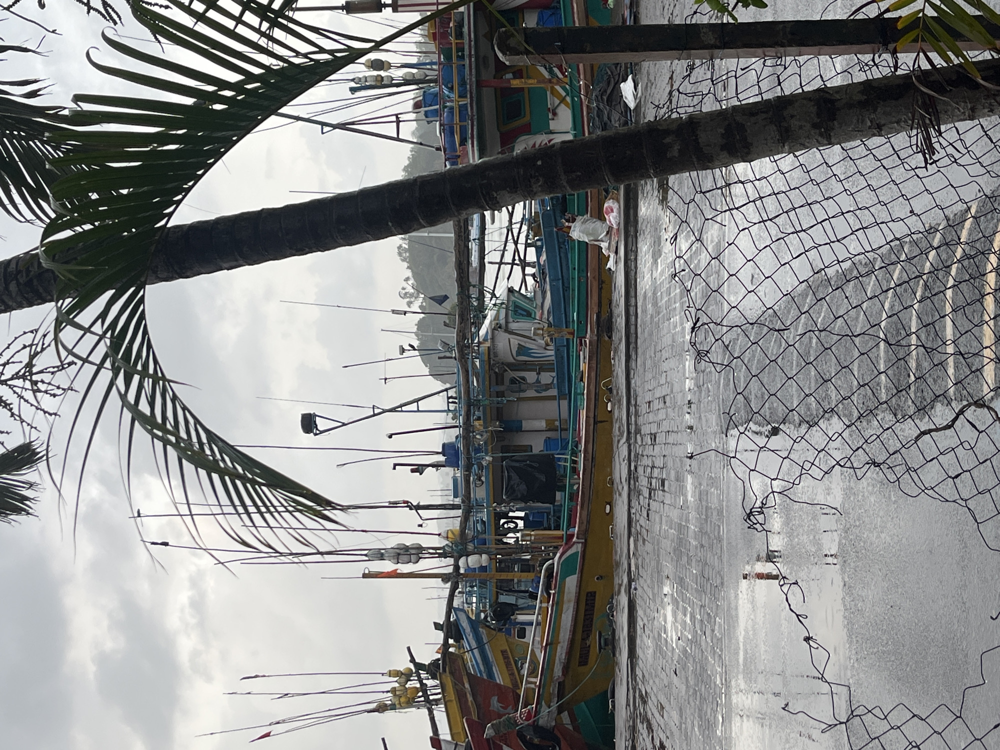 The image depicts a harbor scene in Mirissa, Sri Lanka, on an overcast day. Several fishing boats are moored in the foreground, their colorful hulls and masts creating a striking contrast against the muted sky. The boats are laden with fishing gear, including nets and buoys. A person is visible on the deck of one of the boats, seemingly engaged in some activity. In the background, a lush green hillside rises, suggesting the natural beauty of the coastal region. The ground in front of the boats is wet and reflective, indicating recent rain. A damaged chain-link fence runs across the lower part of the image, partially obscuring the view of the harbor. The overall impression is one of a working harbor, with the fishing boats representing the livelihoods of the local community.