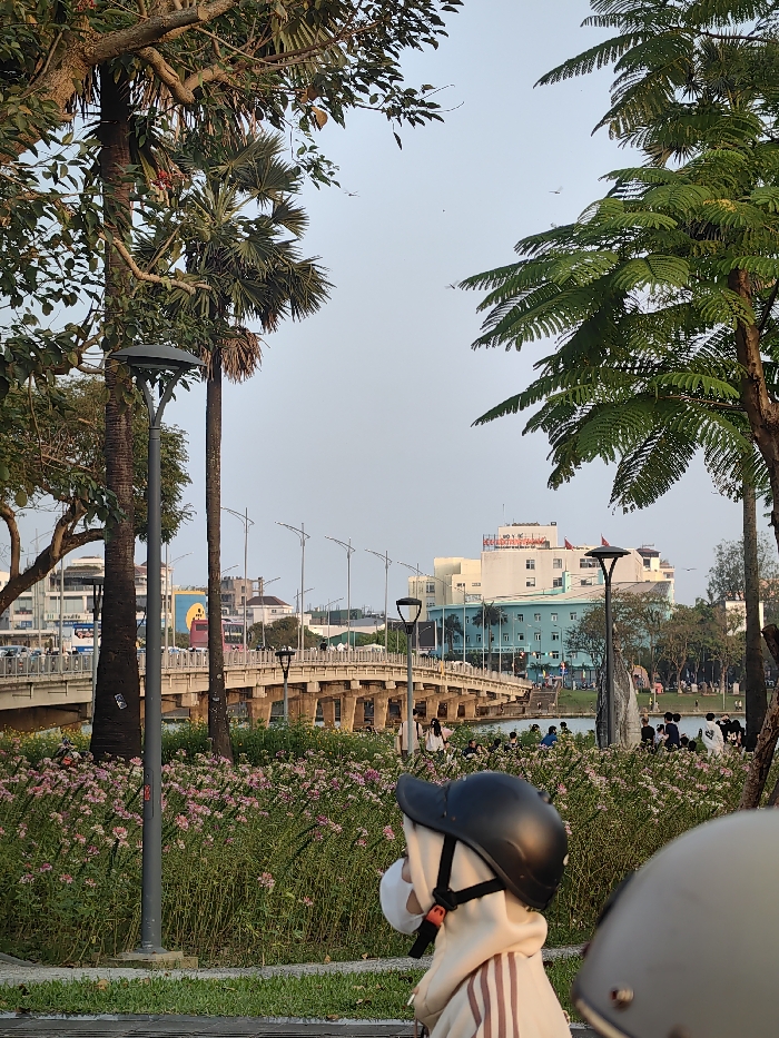 The image presents an outdoor urban scene in Thuận Hóa Ward, Vietnam, under a clear sky. In the foreground, the back of a person wearing a black helmet with an orange buckle on its strap and a white face mask is visible on the right, clad in a light-colored hooded top with vertical stripes. To the left, a grey, disk-topped street lamp stands. Beyond this, a dense field of pink and white flowers on tall green stalks occupies the mid-ground. This area transitions to a body of water, likely a river or lake, spanned by a multi-arched concrete bridge. The bridge supports vehicular traffic and is lined with streetlights. Numerous individuals are observed gathered on the far bank of the water, some sitting, others standing. The background features an urban skyline with various buildings, including a prominent light blue, multi-story structure with white upper floors and red Vietnamese signage on its roof, which translates to "Hospital." Other buildings and advertisements are visible. The scene is framed by various trees, including tall palm trees and leafy green trees. Several small, dark specks are discernible against the light blue sky, consistent with birds in flight.