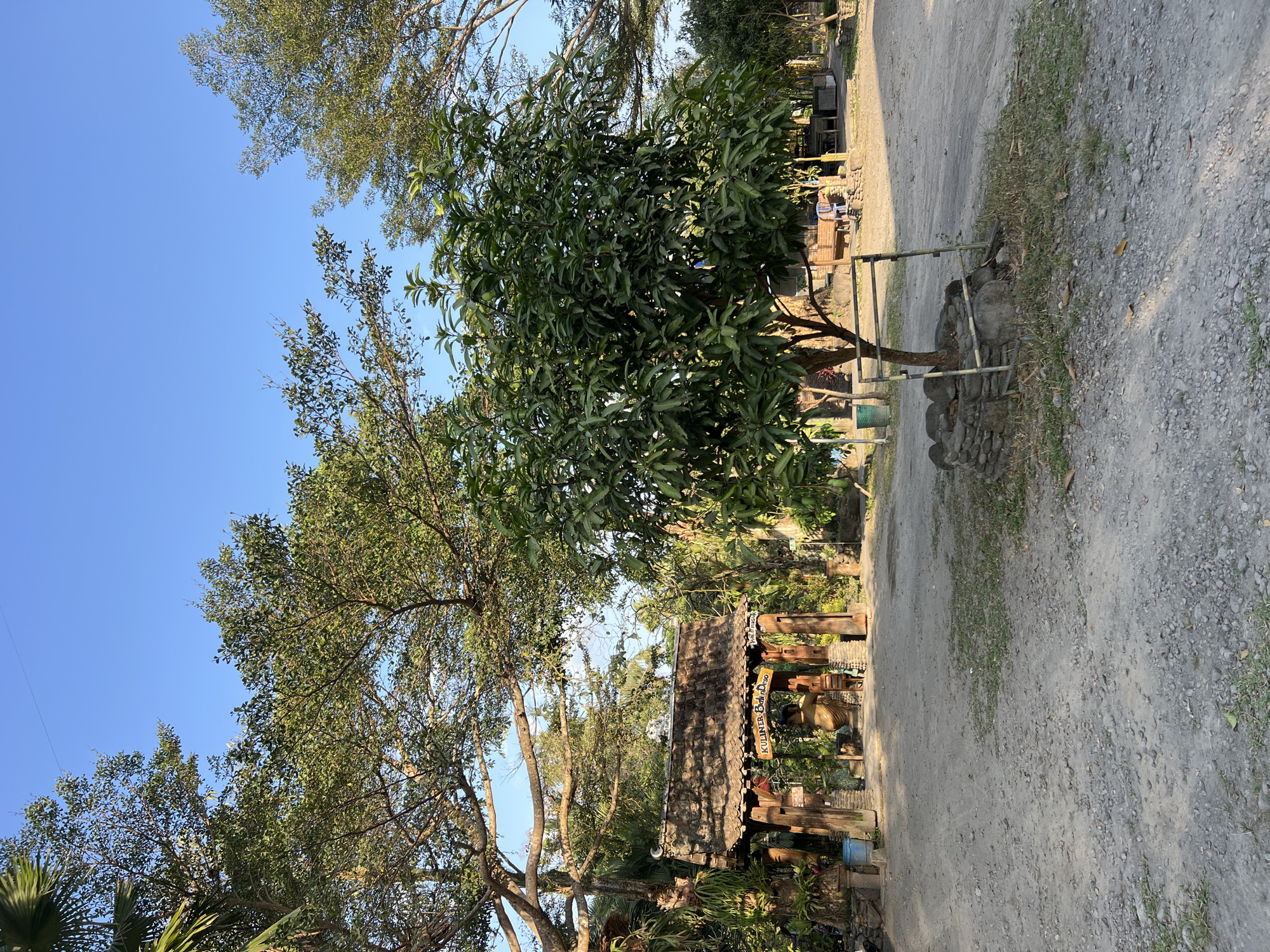 This is a photograph of an outdoor area in Tlogoadi, Indonesia, likely a restaurant or guesthouse. In the foreground, a dirt and gravel ground is visible, with a small tree in the center surrounded by a stone and bamboo base. Behind the tree, a traditional wooden archway stands, adorned with carved details and a tiled roof. The words "KULINER BALI DESA" are written on a sign above the archway. A large, golden statue of Buddha is seated within the archway. The background features more trees, some with large branches extending overhead, and wooden structures that appear to be seating areas or buildings. The sky is a clear, light blue, indicating a sunny day. There are no people clearly visible in the scene.