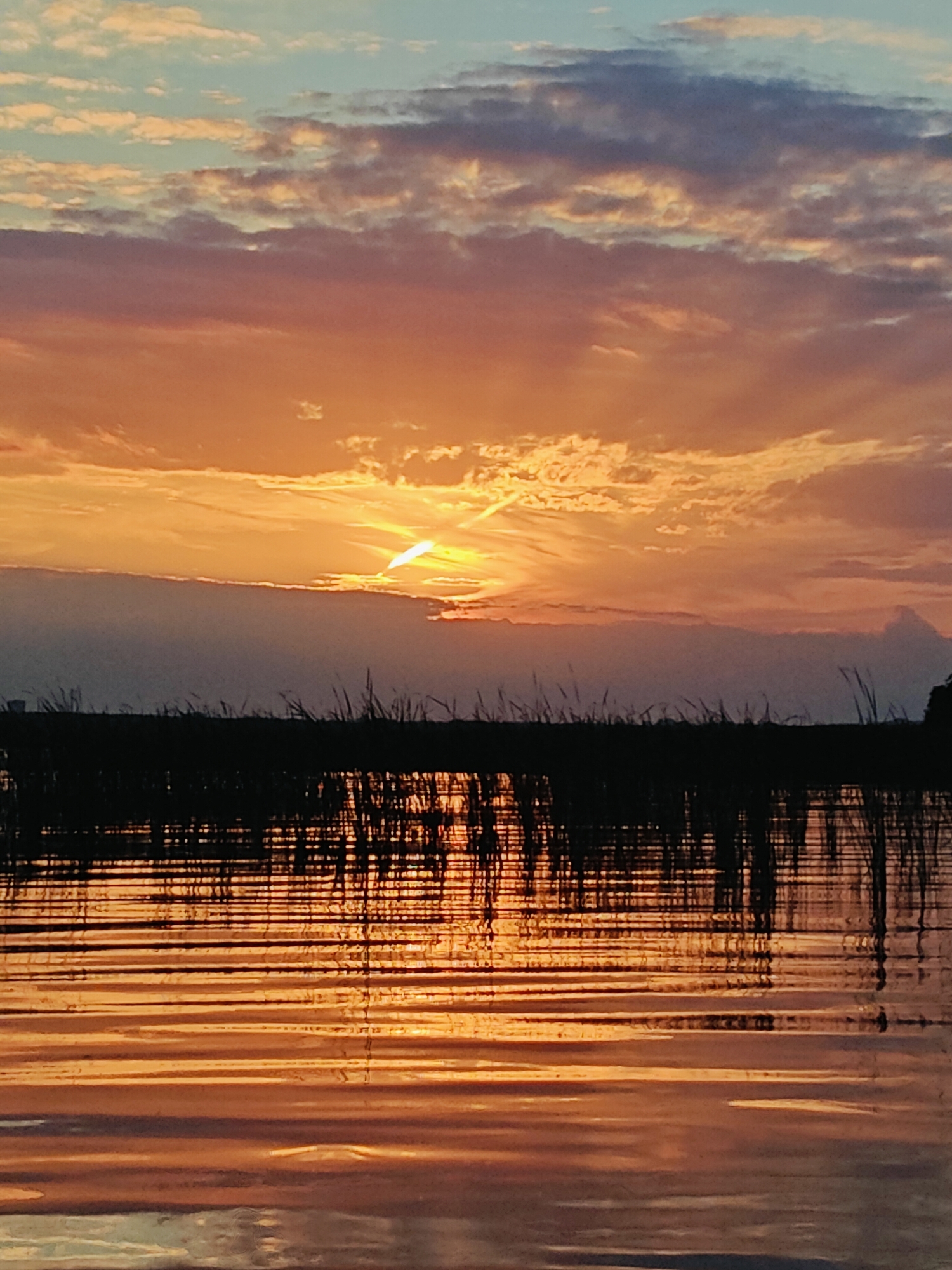 The image depicts a sunset over a body of water, likely a river or lake, near Chaykovsky, Russia. The sky is filled with vibrant colors, ranging from oranges and pinks to blues and grays, as clouds are illuminated by the setting sun. The sun itself is partially obscured by a band of clouds, creating a dramatic flare of light. In the foreground, the dark silhouette of tall grass or reeds lines the edge of the water, their reflections stretching across the rippling surface. The water reflects the colors of the sky, creating a warm and tranquil scene. There are no people or specific buildings visible in the image. The overall impression is one of natural beauty and peacefulness during twilight.
