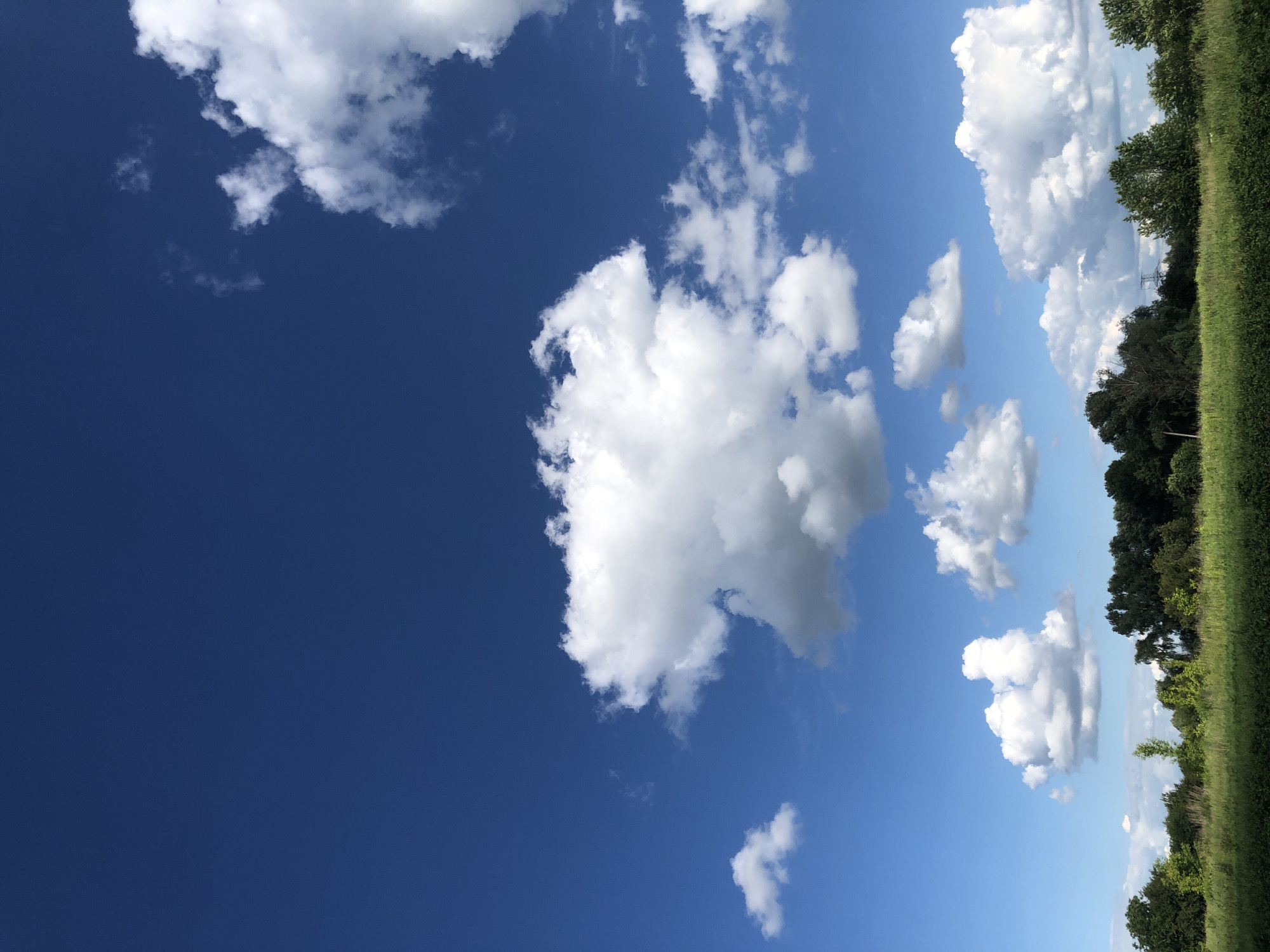 This is a vertical, eye-level, full shot of a blue sky with cumulus clouds over a grassy field and trees. The sky is a deep, vibrant blue, filling the top two-thirds of the image. Scattered throughout the sky are white, fluffy cumulus clouds of varying sizes. A large, dominant cloud formation is in the center-left of the image, with smaller clouds dispersed around it. The bottom third of the image features a dense line of dark green trees, ranging in height and foliage. In front of the trees, a field of green grass extends across the width of the frame. The scene appears to be outdoors in a rural or semi-rural setting, possibly in the city of Khmilnytsia, Ukraine. There are no people or discernible actions taking place. The environment is natural, with a focus on the sky and vegetation.