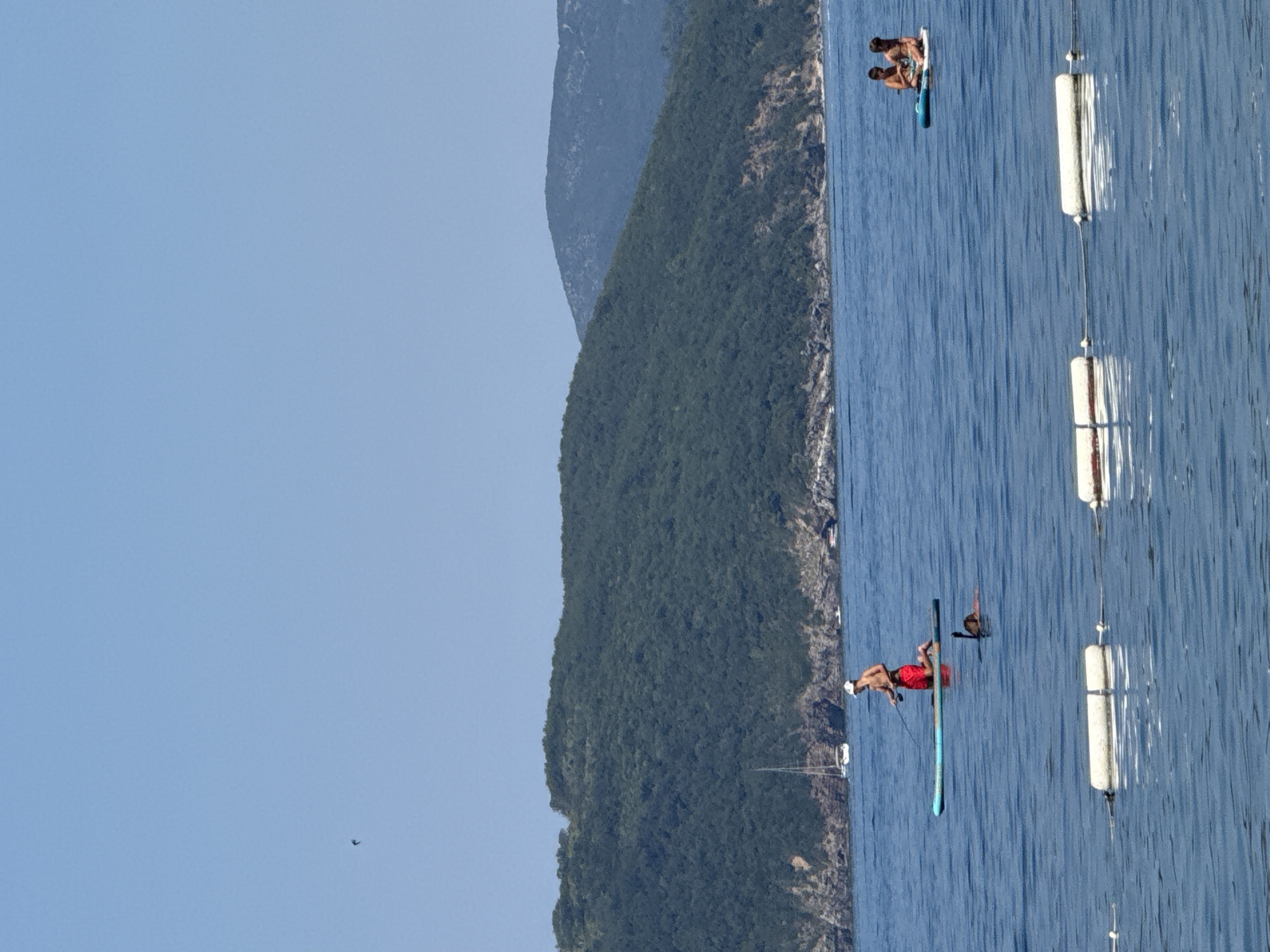 The image depicts a clear, sunny day at the sea, likely near Budva, Montenegro, given the presence of a lush, green, mountainous coastline. In the foreground, the calm blue water is marked by a series of white buoys. Further out, a man in red shorts and a white cap is paddleboarding, holding a fishing rod. To his right, a person with a snorkel mask is partially submerged in the water. In the middle distance, two young individuals are sitting on a paddleboard. A white sailboat is anchored near the rocky shore, which is covered in dense vegetation. The sky is a pale blue, with a small bird in flight visible on the left. The overall scene conveys a peaceful, recreational atmosphere.
