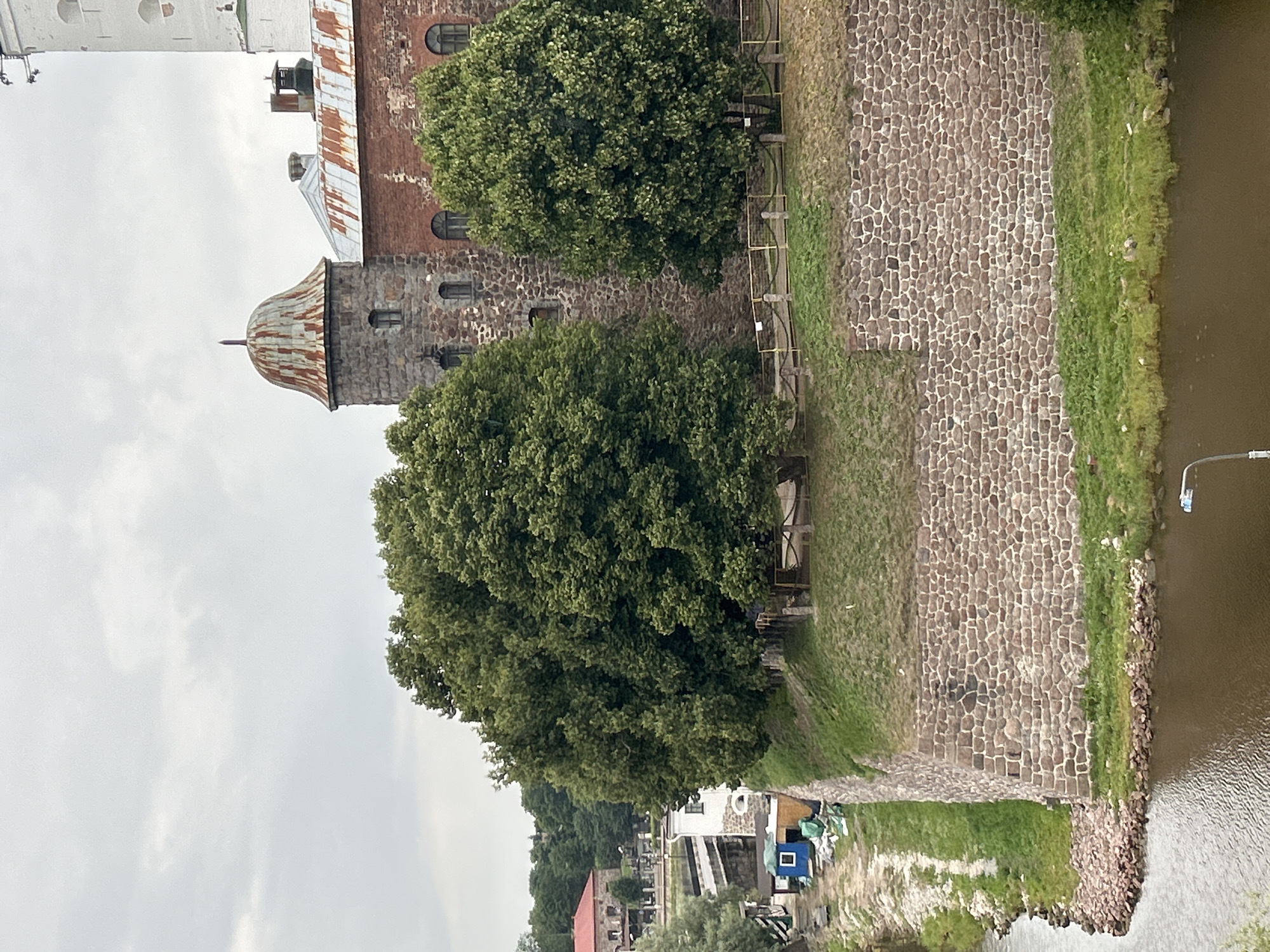 The image shows the Vyborg Castle in Vyborg, Russia, on a cloudy day. The castle features a round stone tower with a rusty, domed roof and a section of brick building with a rusty metal roof. In the foreground, a stone wall borders a body of water. Lush green trees are abundant on the castle grounds and surrounding areas, with some buildings and a street visible in the distance. A modern street lamp is present near the water's edge.