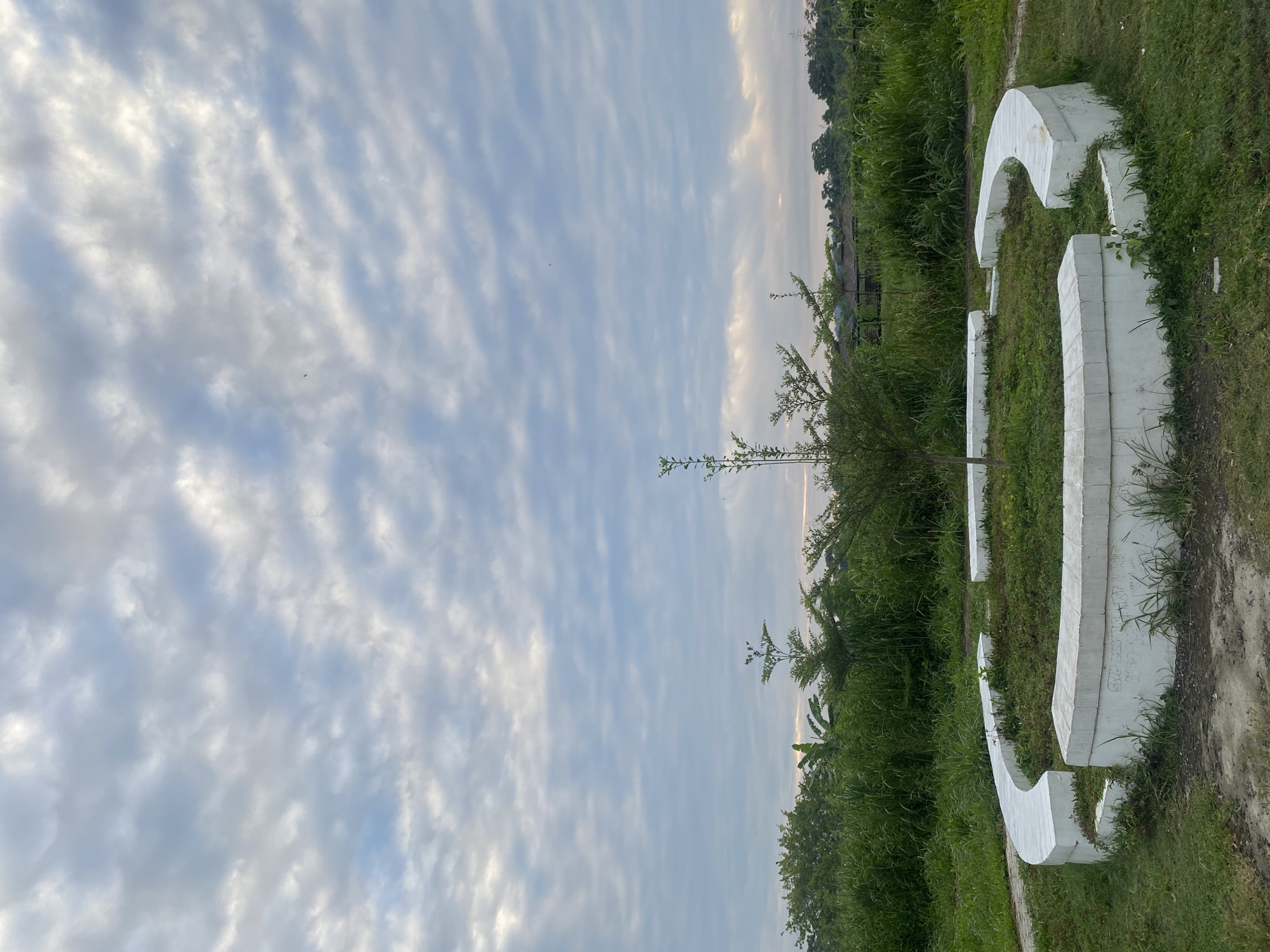 This image captures a tranquil outdoor landscape, likely in Davao City, Philippines, under a partially cloudy sky during either sunrise or sunset. The frame is dominated by the sky, which occupies the upper two-thirds, while the lower third features lush green vegetation and distinctive white structures.
The sky is filled with a textured spread of altocumulus-like clouds, varying in shades of white and light gray, with patches of pale blue sky visible between them. Towards the right side of the horizon, the clouds and sky show soft, warm tones of light orange and pink, indicating the early morning or late afternoon light. A tiny, dark speck, possibly a bird or insect, is faintly visible against the vastness of the sky.
The ground features dense, vibrant green vegetation, including grass, bushes, and taller trees lining the distant horizon. Amidst this greenery, several large, white, curved concrete or stone structures are positioned. These structures appear to be segmented, possibly forming stylized letters or abstract architectural elements, integrated into the grassy environment. On closer inspection, faint, illegible scribbles or graffiti can be seen etched onto the surfaces of these white installations.
The scene is devoid of human presence or activity, offering a serene view of a natural setting enhanced by these artificial, sculptural elements under the expansive sky.
