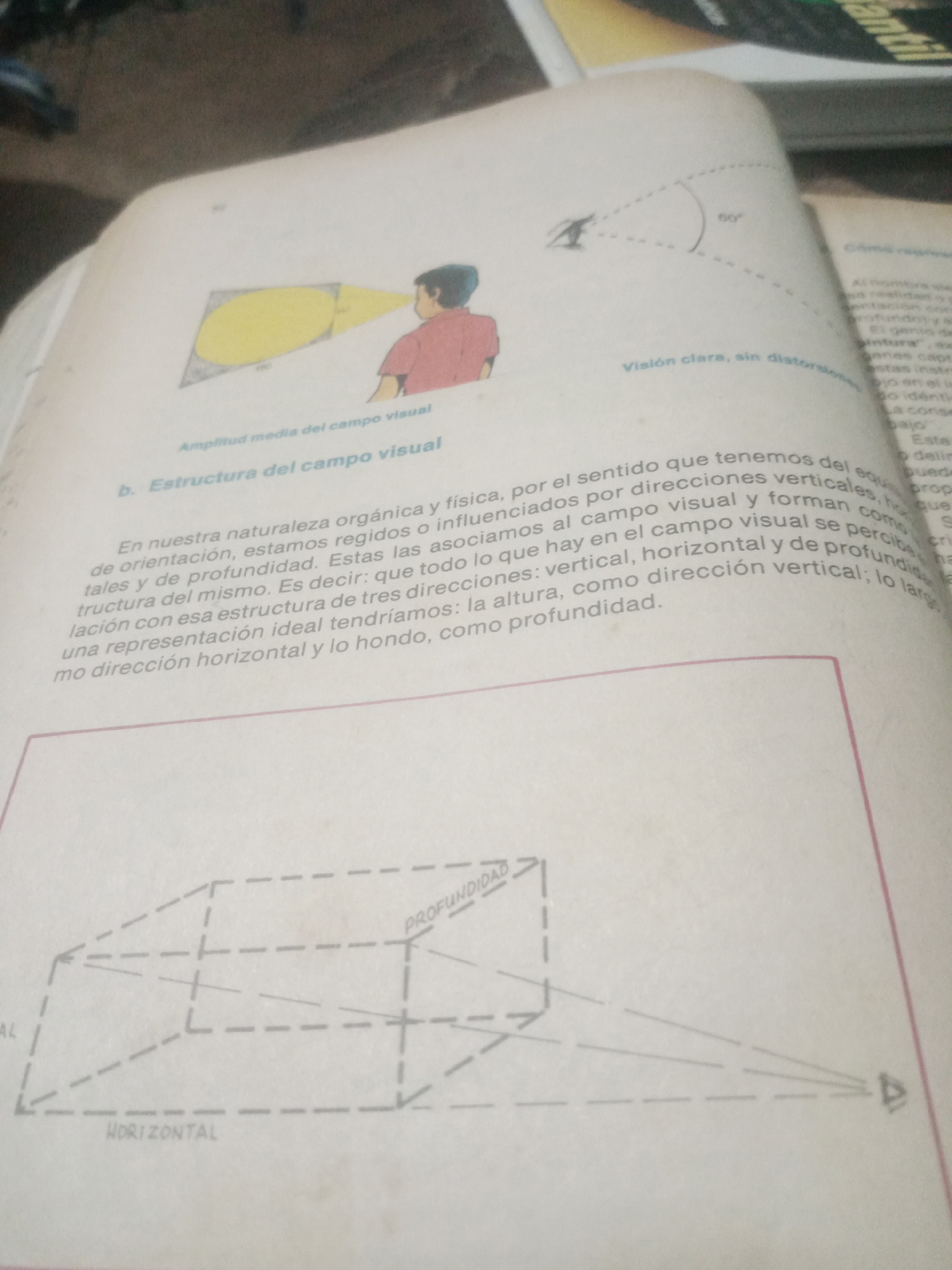 The image shows an open book with text and illustrations related to visual perception and depth. On the left side, there is a diagram of a person's head in profile looking at a yellow oval shape, illustrating the concept of "Amplitud media del campo visual" (average amplitude of the visual field). Below this, there is a heading "b. Estructura del campo visual" (b. Structure of the visual field) followed by Spanish text explaining how our perception of the visual field is influenced by directions and forms our sense of orientation, space, and depth.
Below the text, there is a perspective drawing of a three-dimensional box-like structure, rendered with dashed lines. The words "HORIZONTAL" and "PROFUNDIDAD" (depth) are labeled on this diagram, indicating the dimensions of the visual space.
The background of the image is dark and out of focus, suggesting it is likely a table or surface. The lighting appears to be from above.
There is no information in the image that relates to the city of Santa Ana, Venezuela.